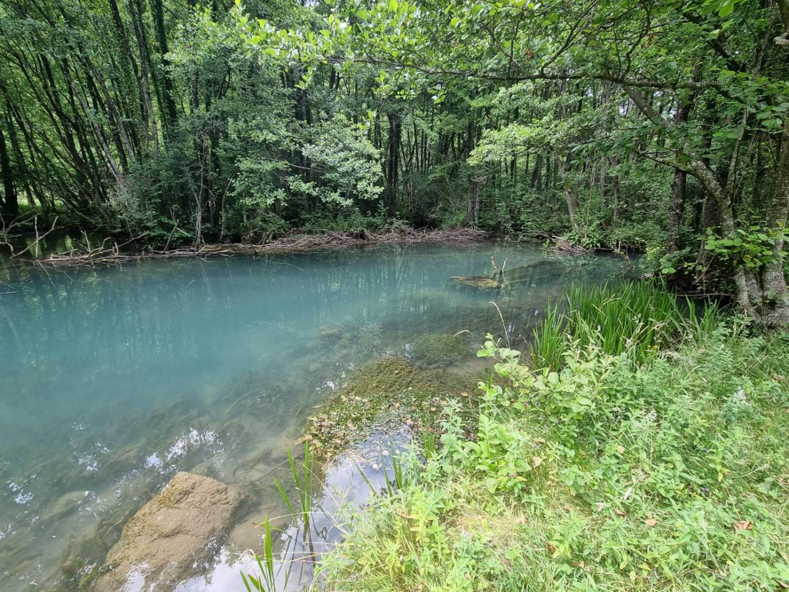 Pension Seeblick Purbach