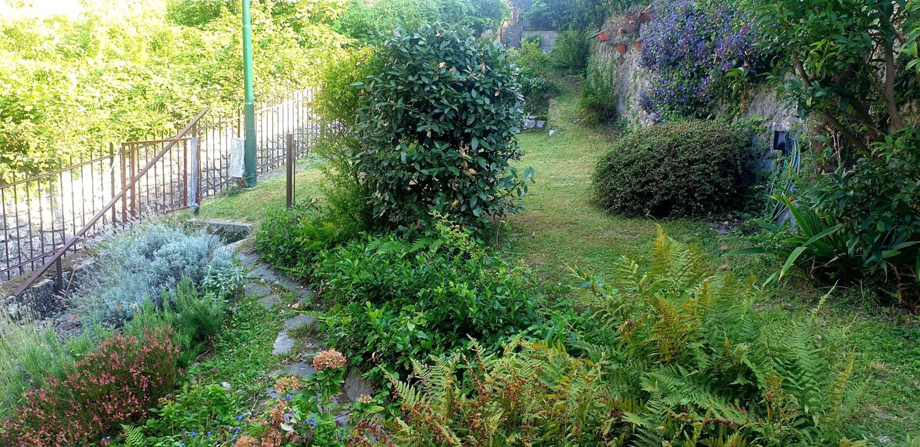Photo 48