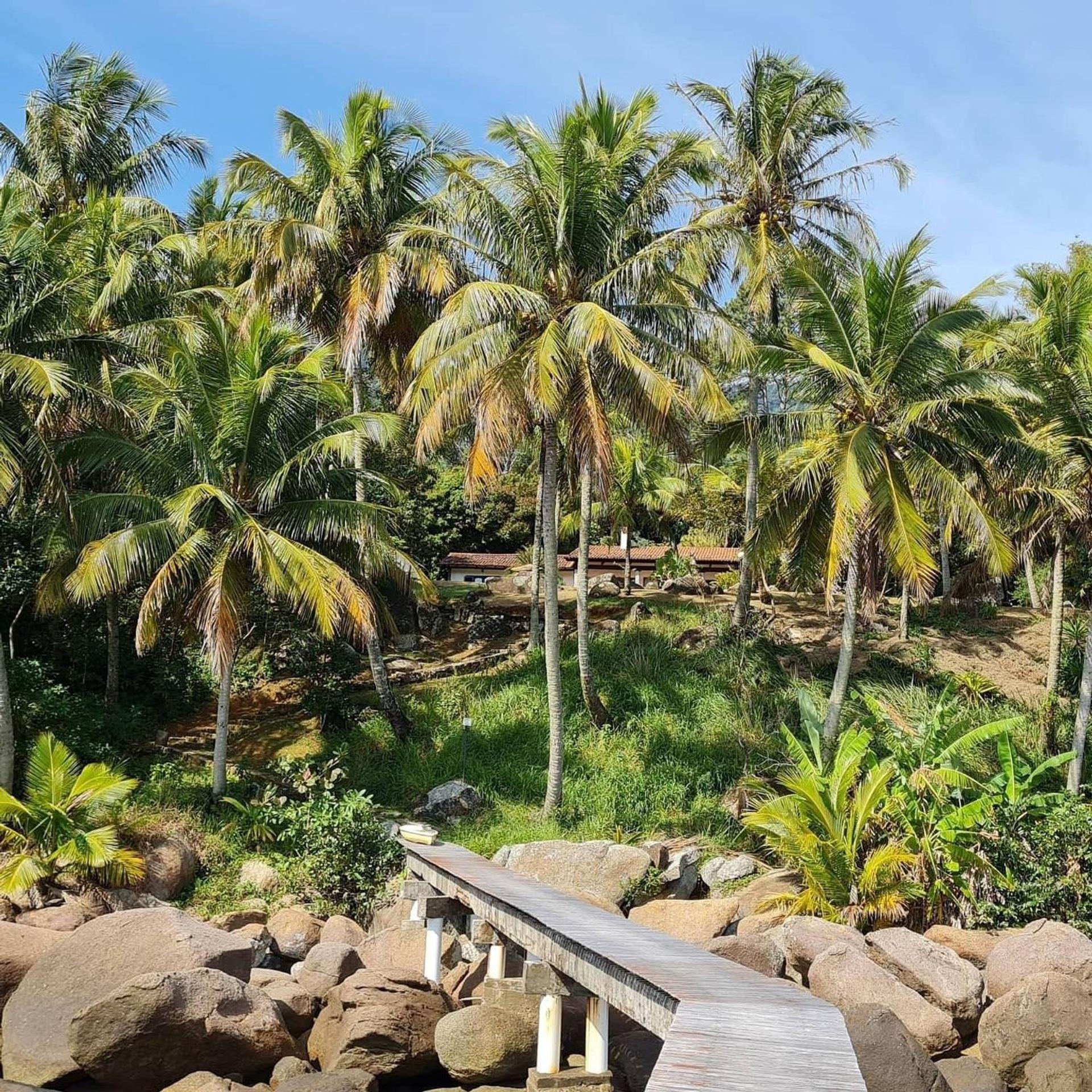 Elephant GuestHouse Beira Mar - Suítes com Café da Manhã
