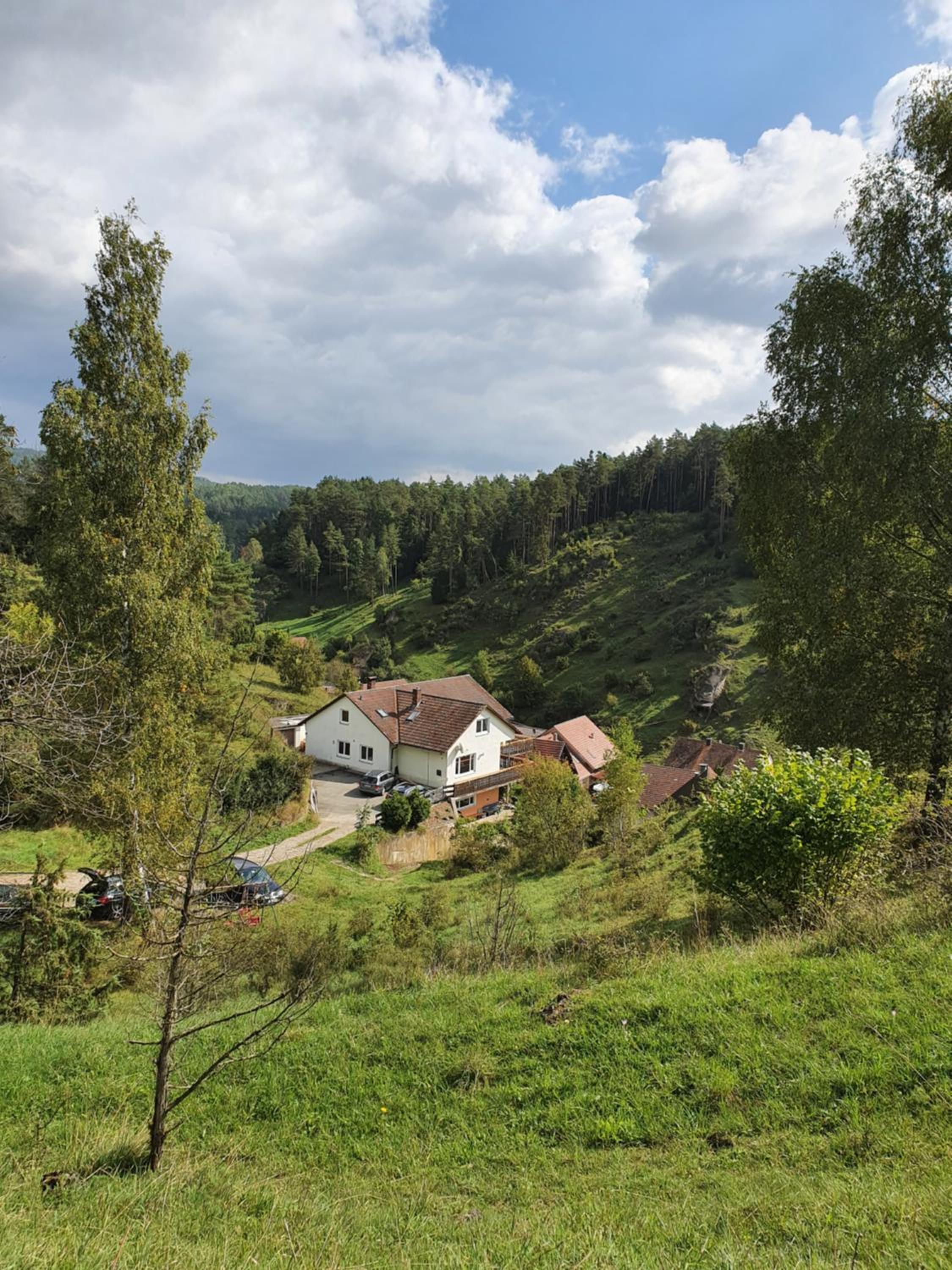 Photo 25