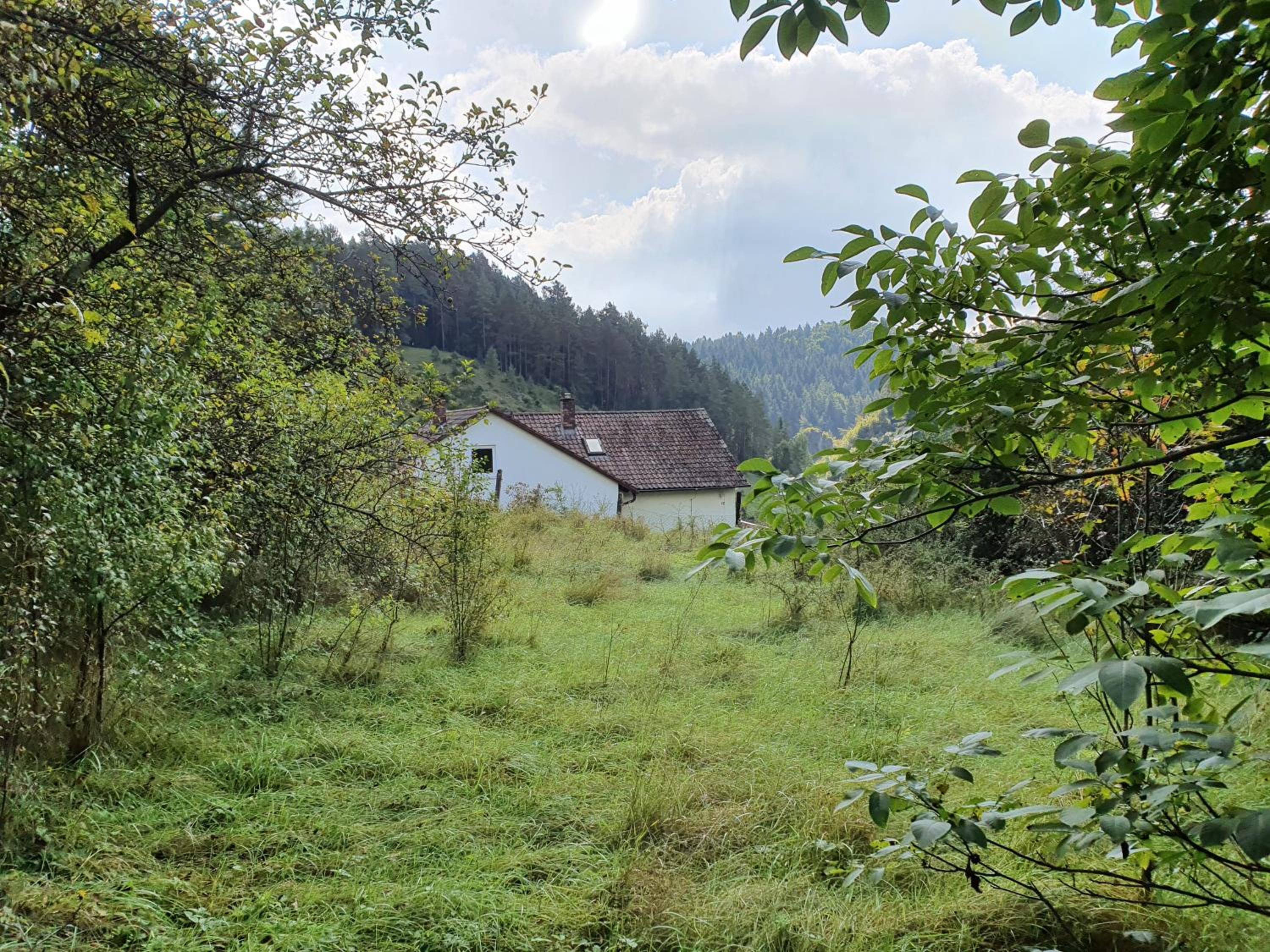Photo 24