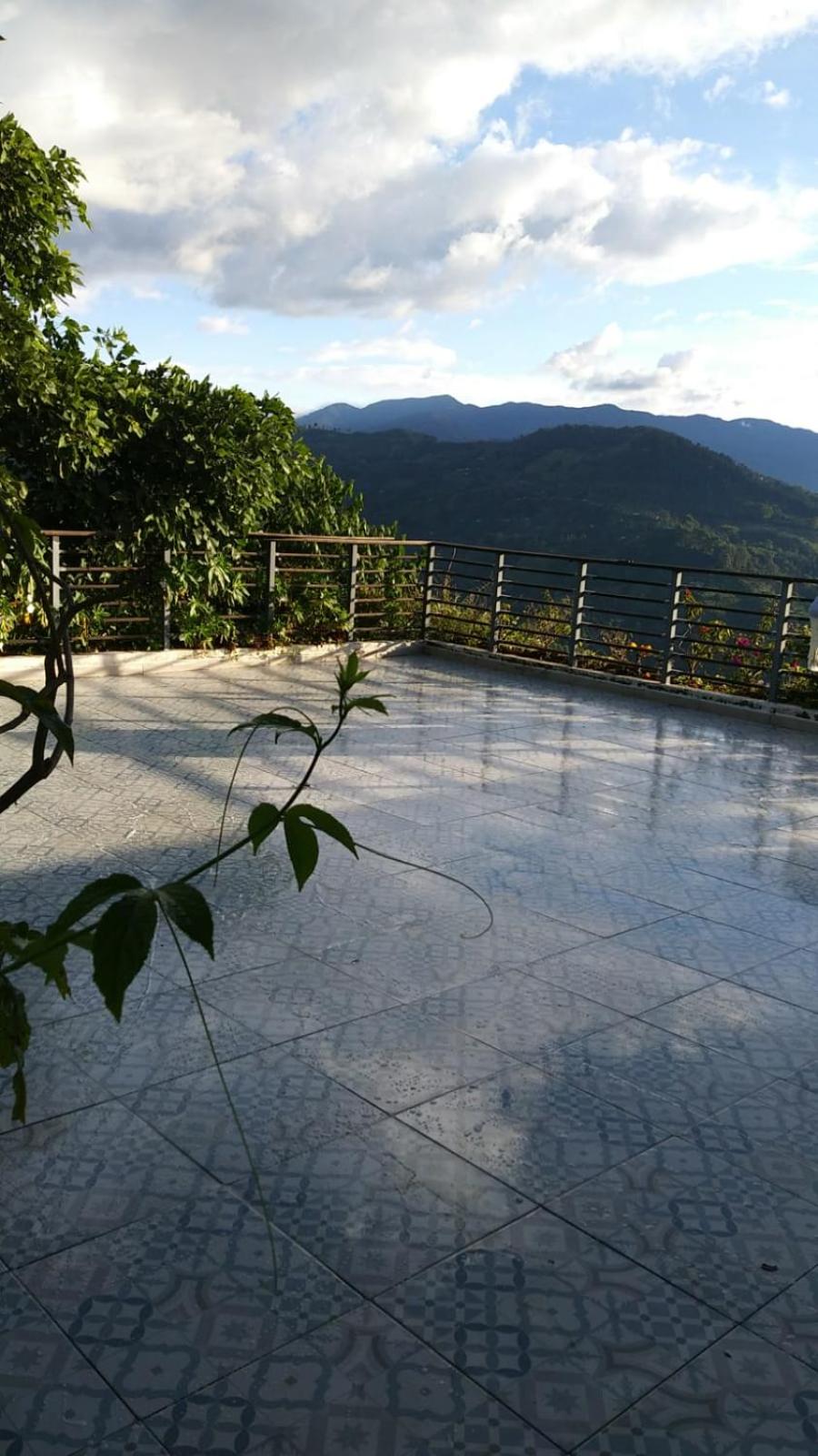 Photo 41