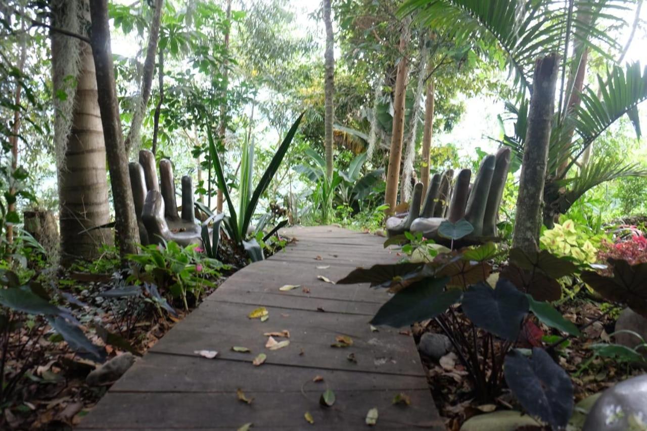 Photo 44