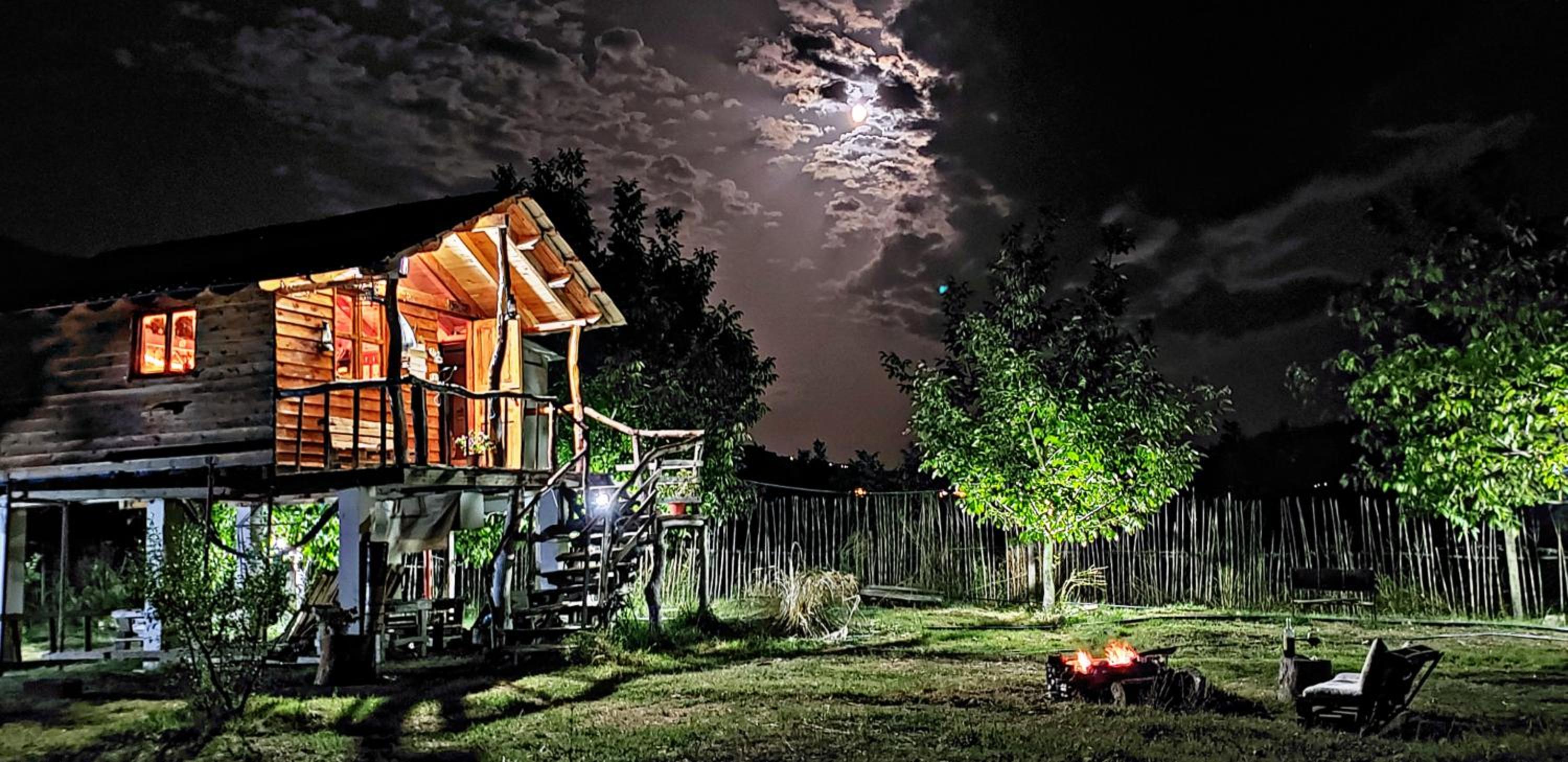 Life on the farm