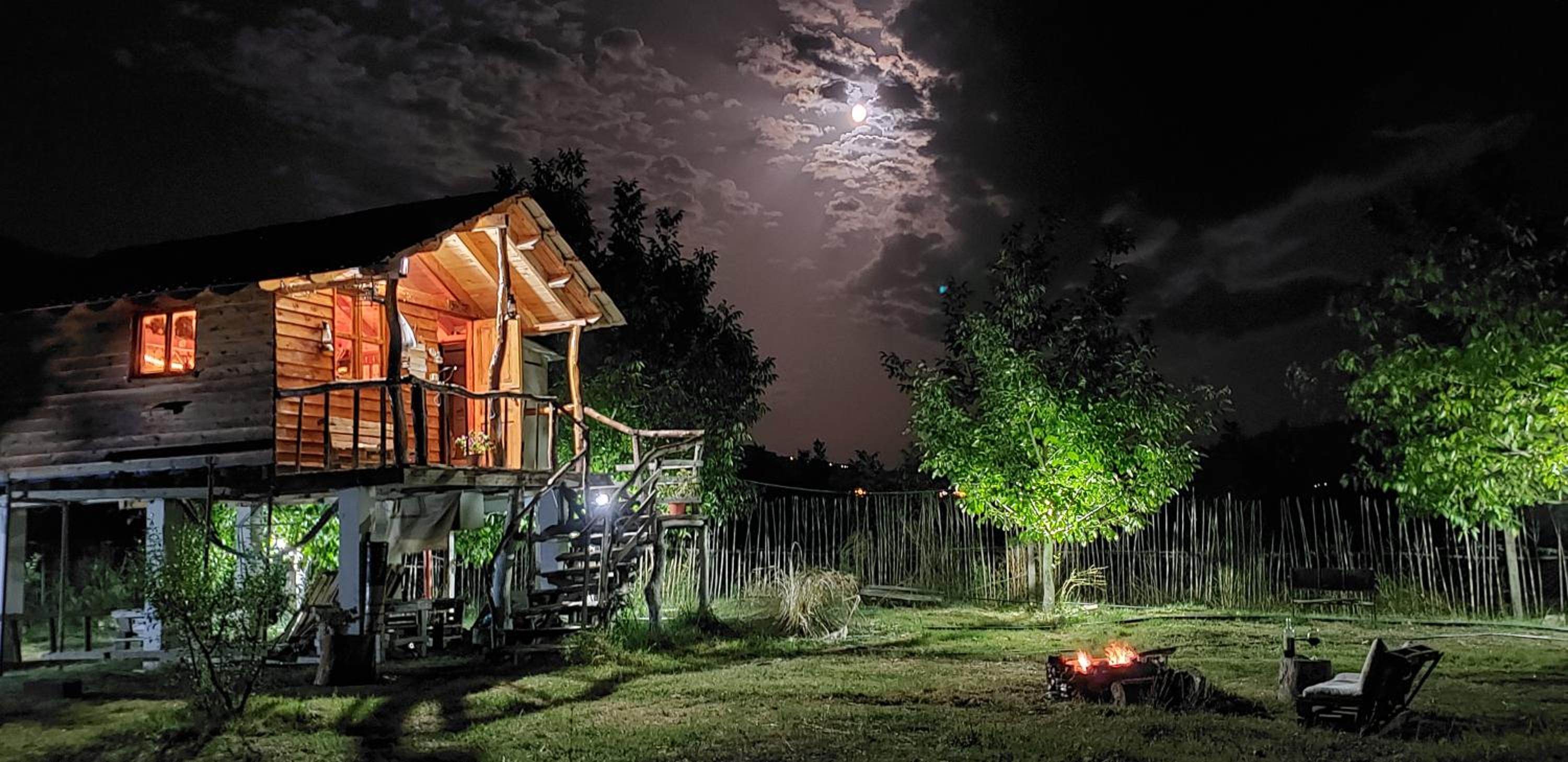 Life on the farm