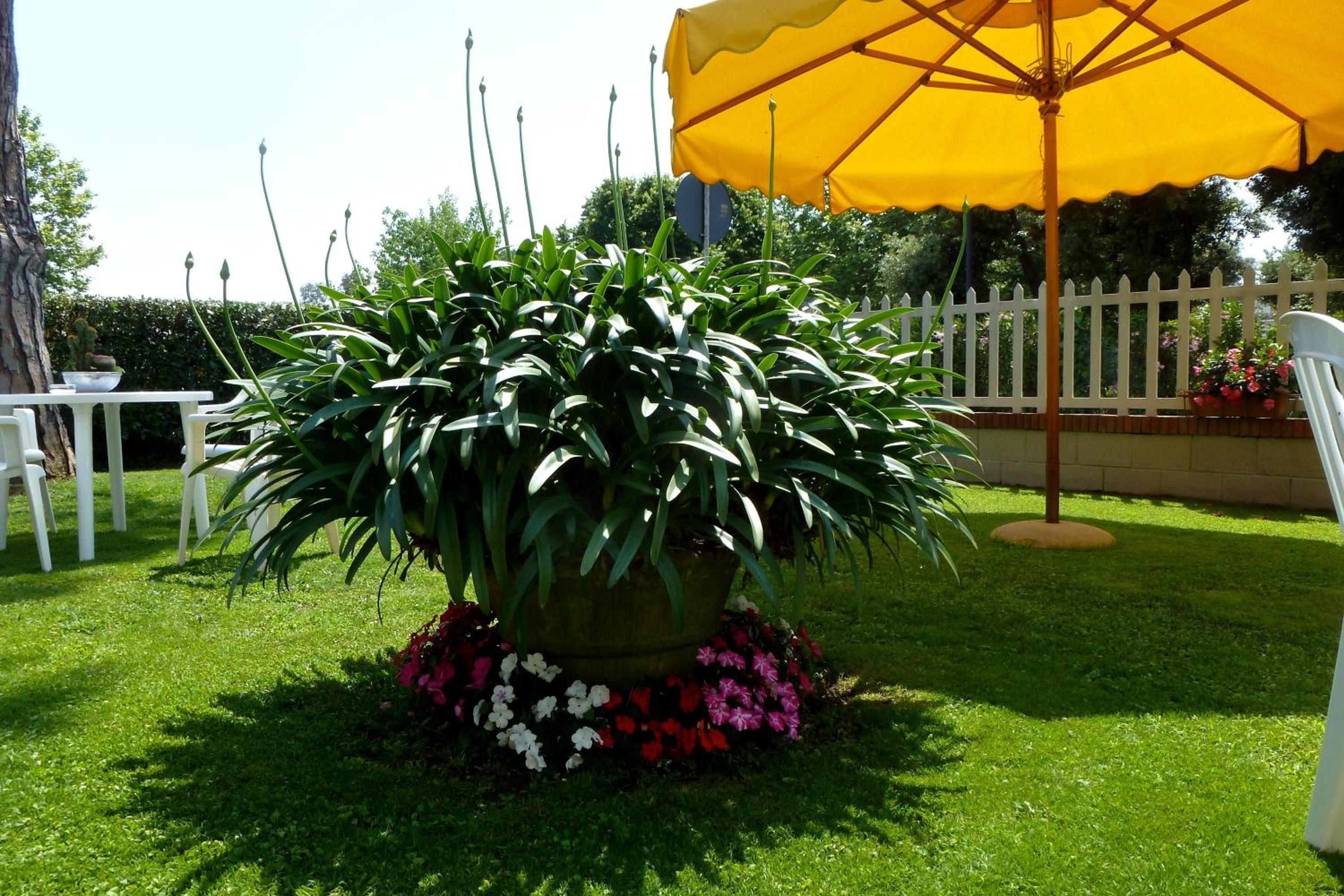 Hotel Versilia