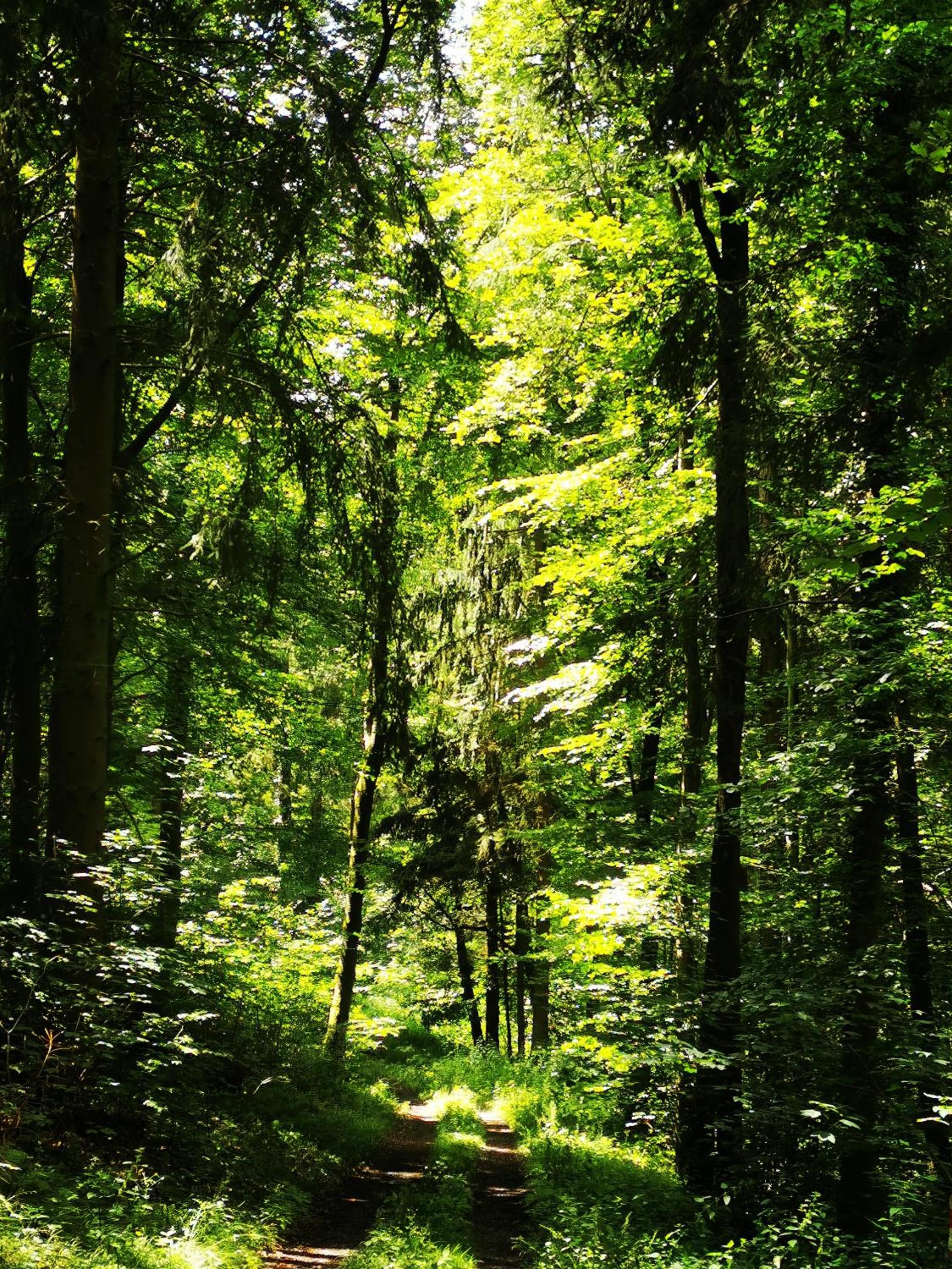 Im Herzen des Kraichgaus 1