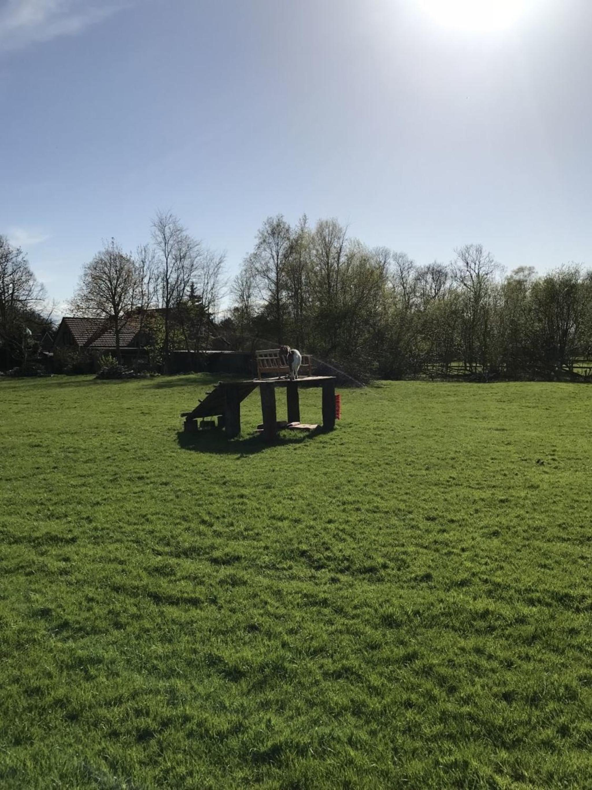 Ferienhaus Mau