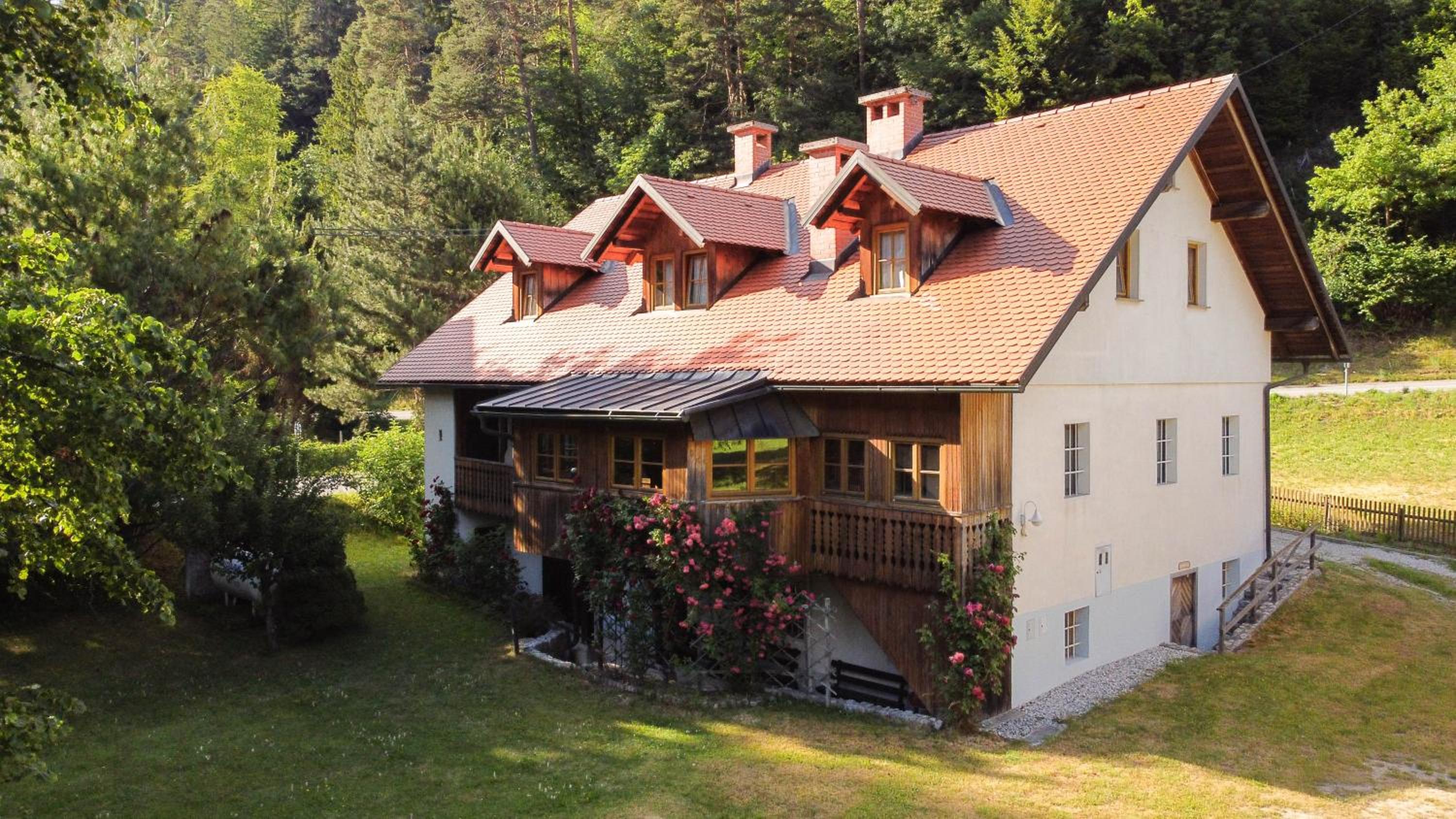 House Alpine Rose