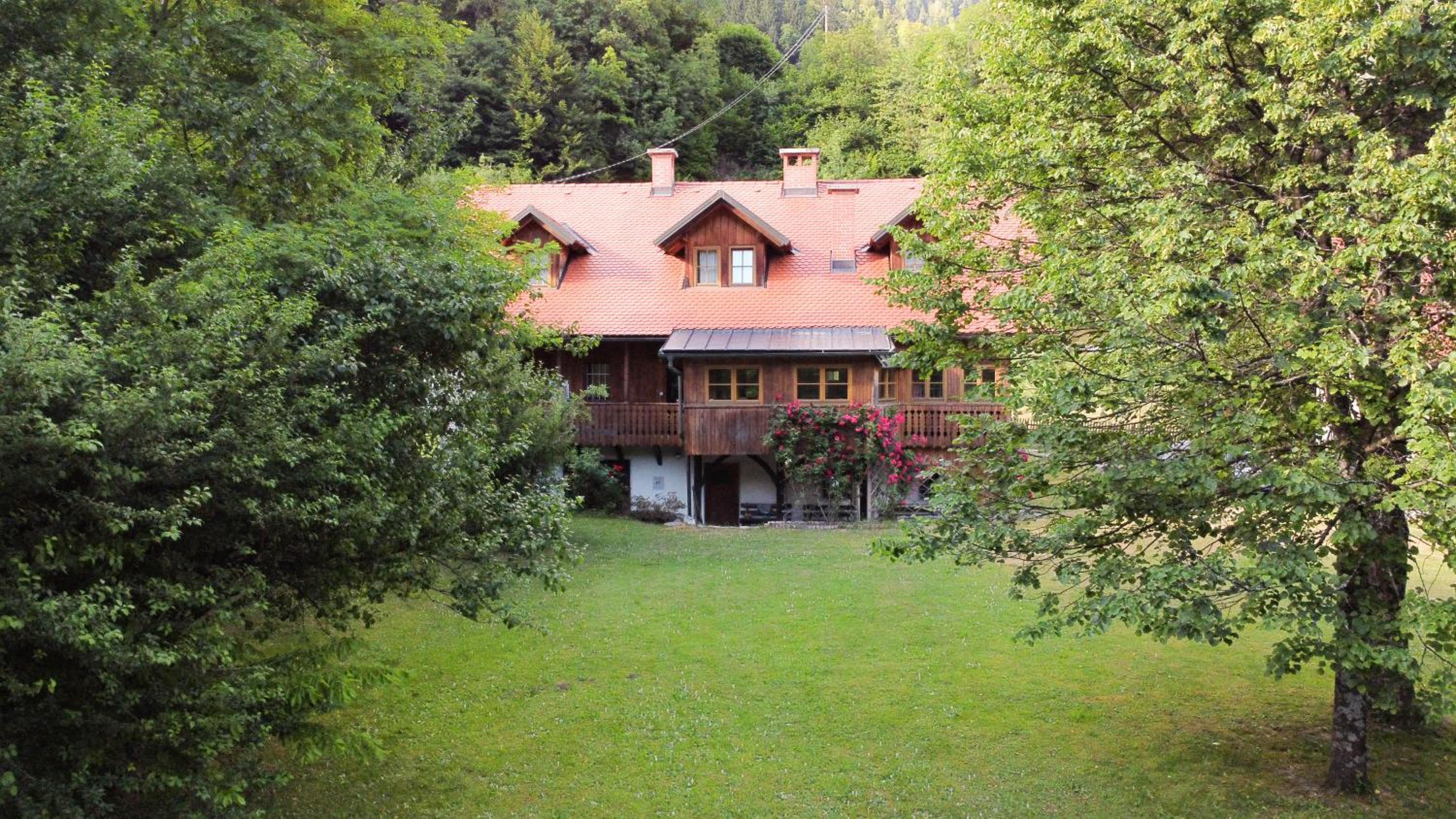 House Alpine Rose
