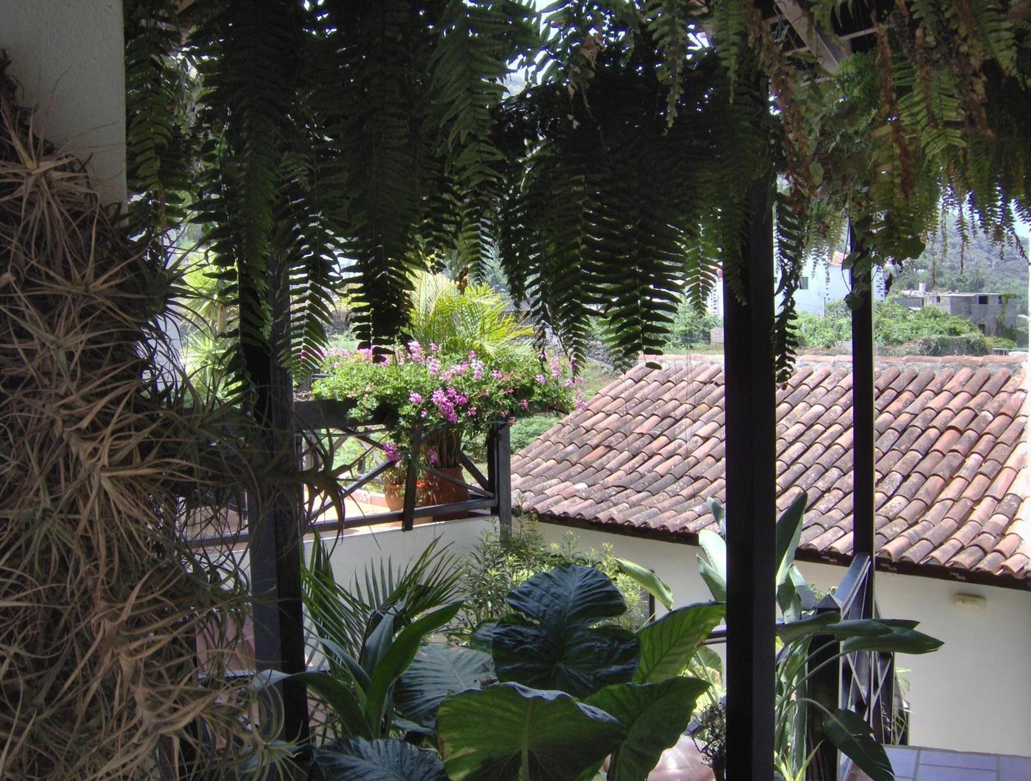 Ferienwohnung mit Meerblick