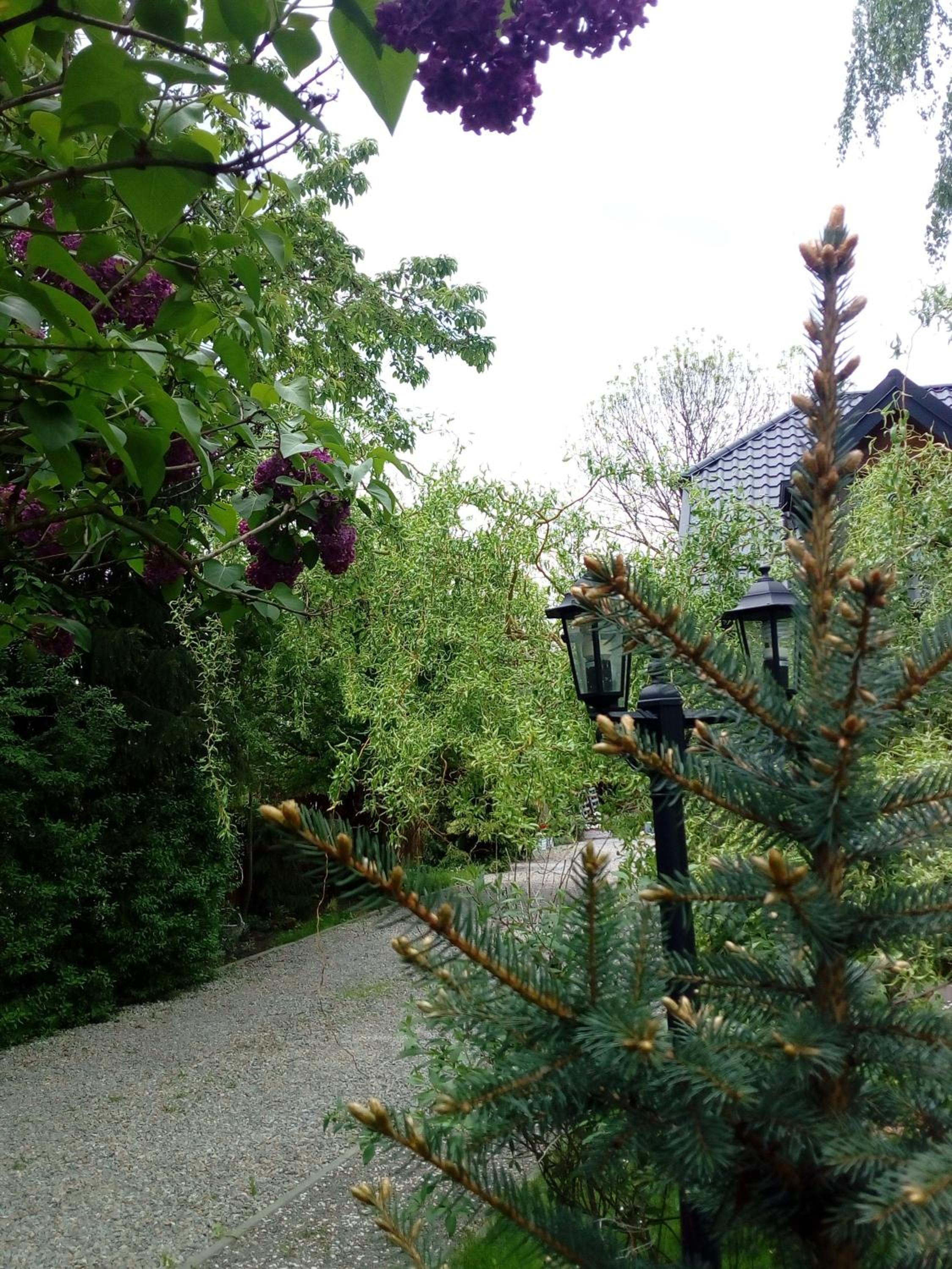 Photo 49