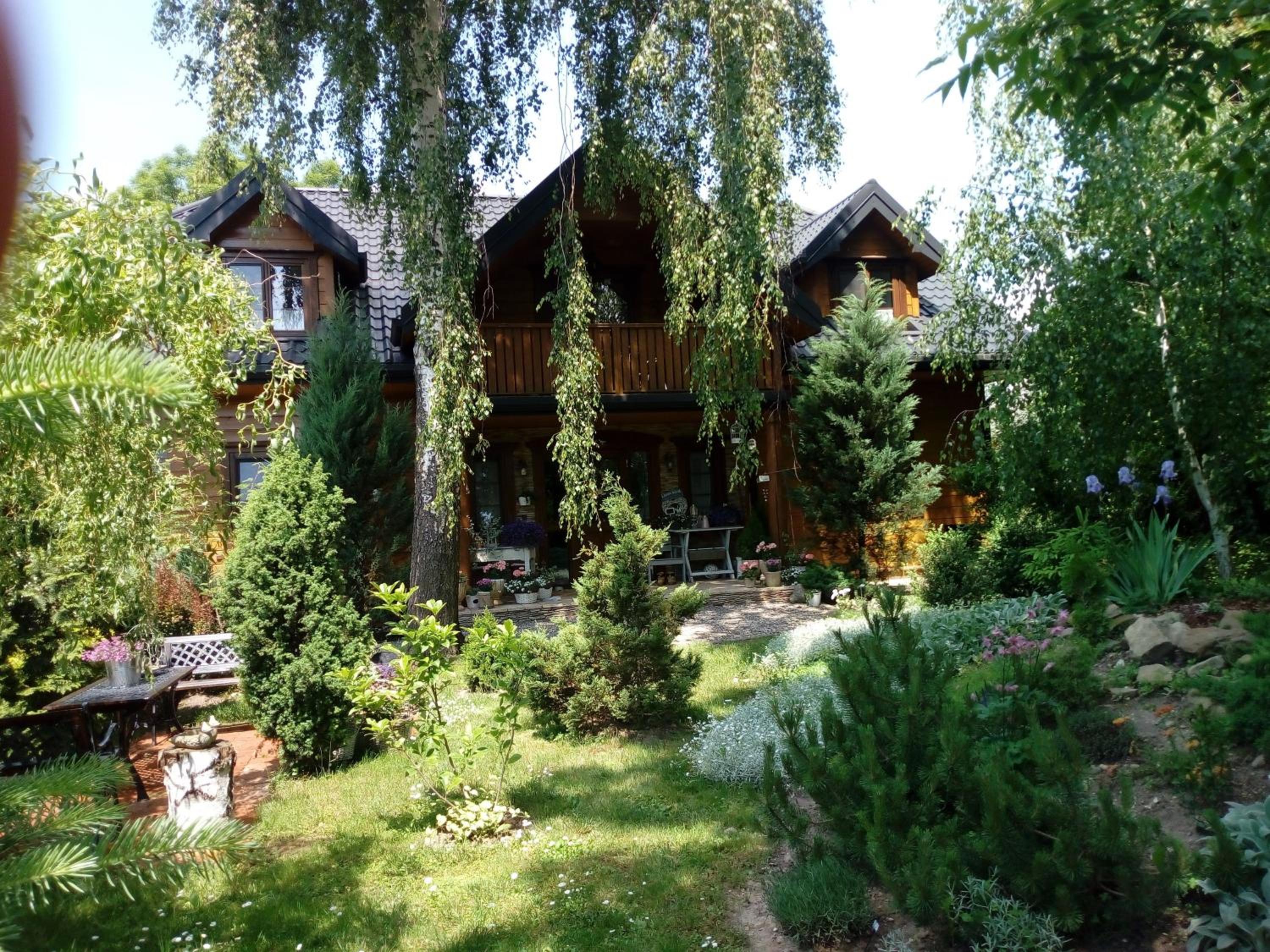 Photo 43