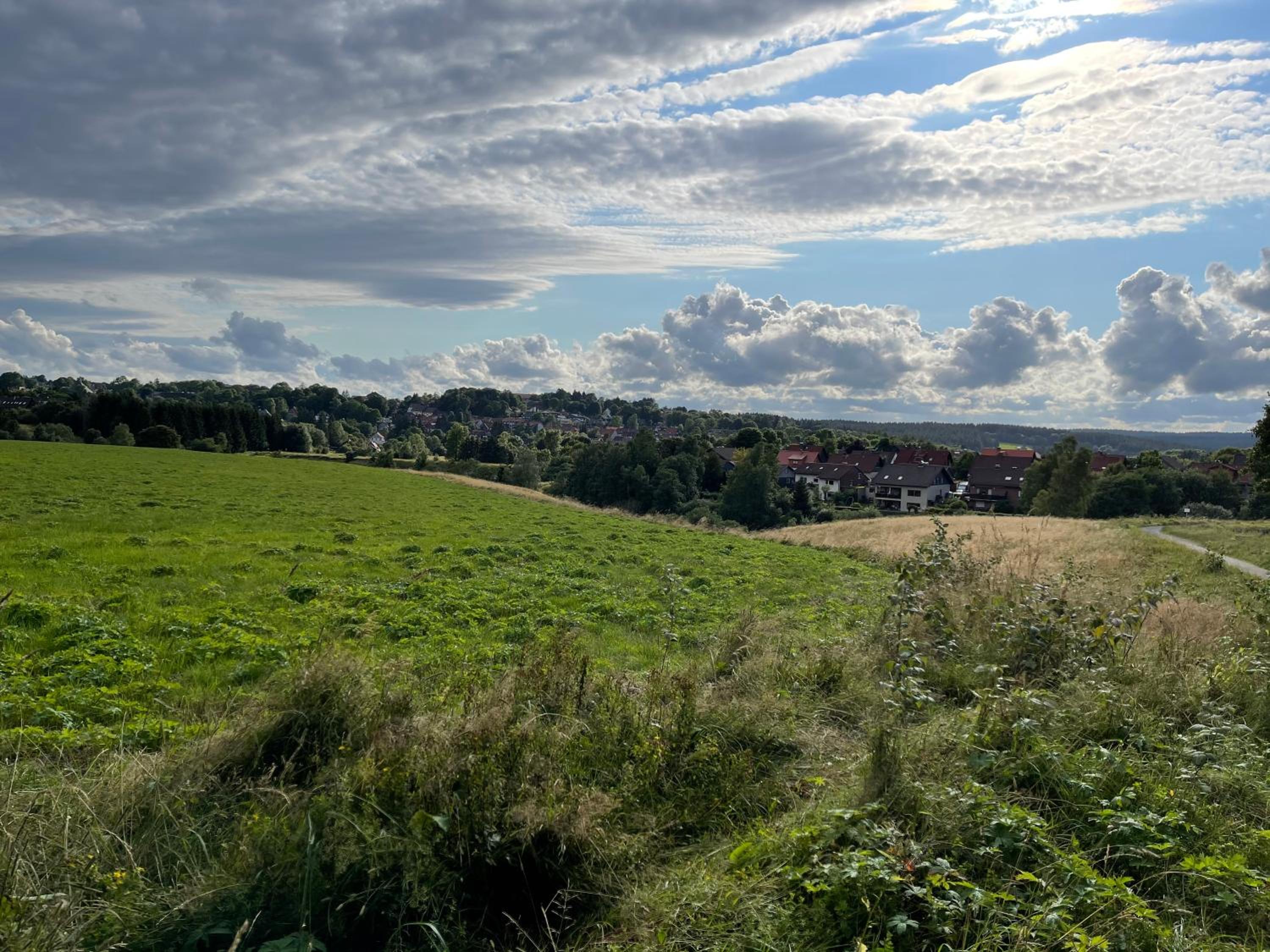 Großzügige Souterrainwohnung in historischer Stadtvilla im Herzen Zellerfelds