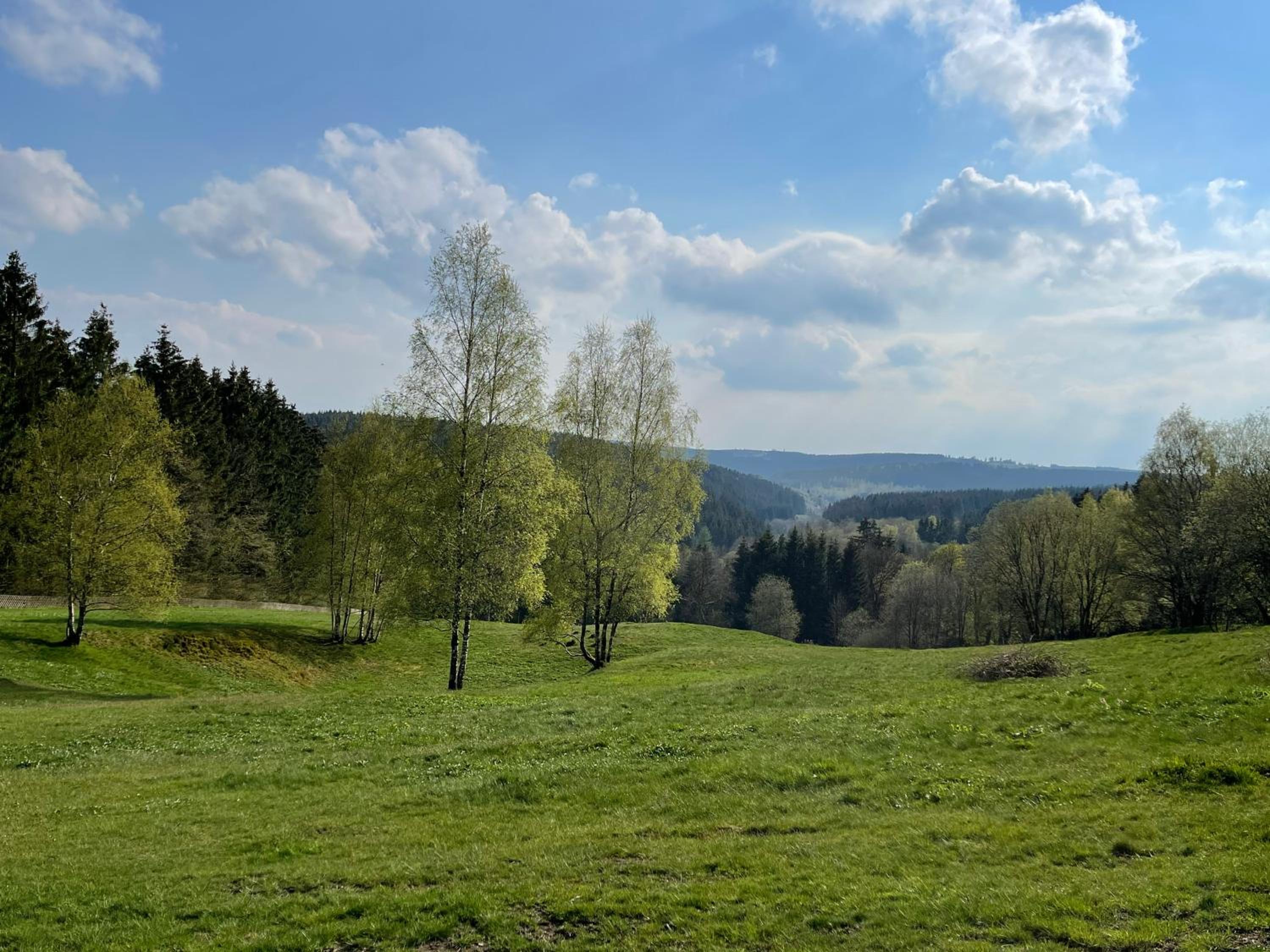 Großzügige Souterrainwohnung in historischer Stadtvilla im Herzen Zellerfelds