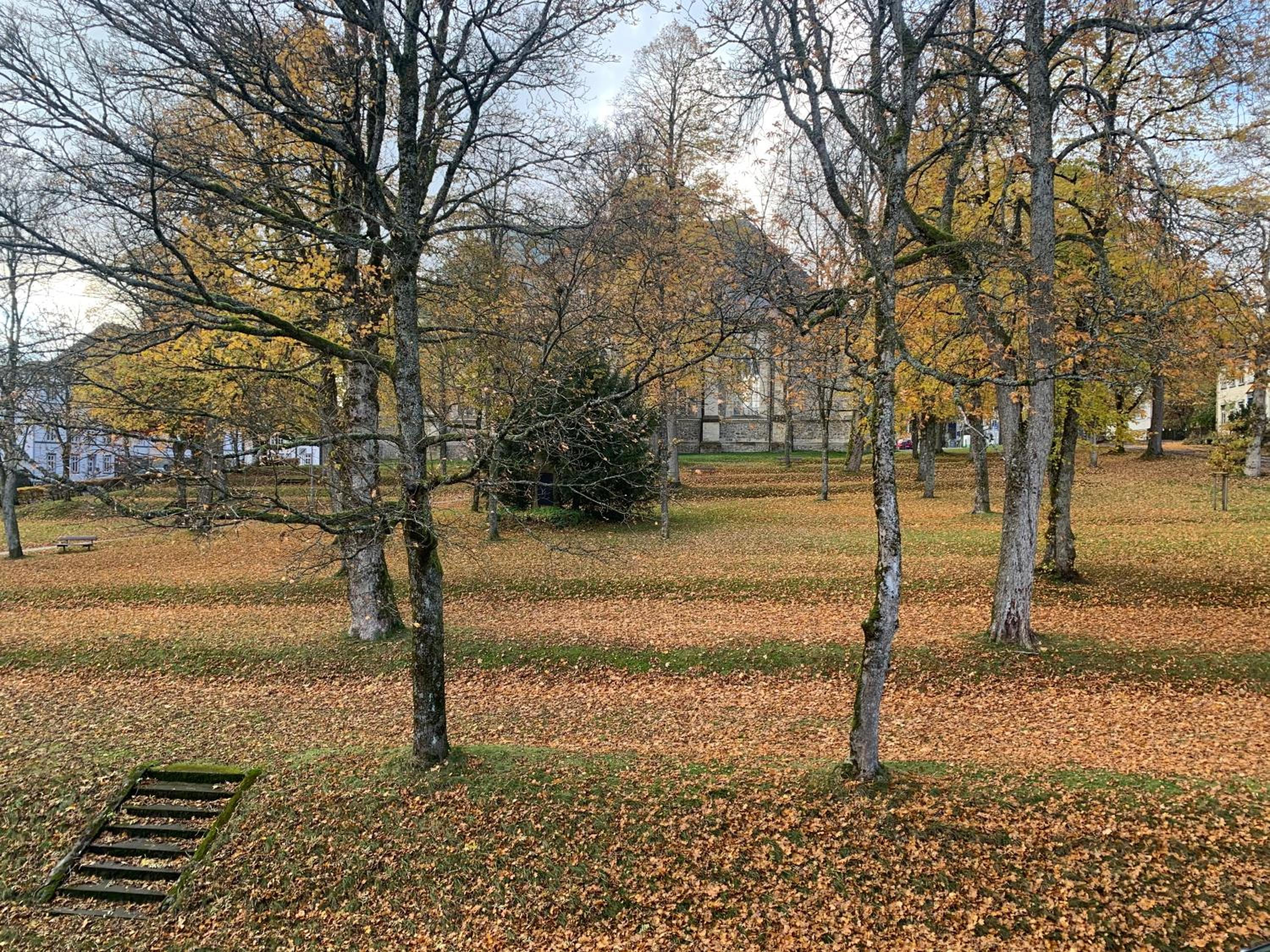 Großzügige Souterrainwohnung in historischer Stadtvilla im Herzen Zellerfelds