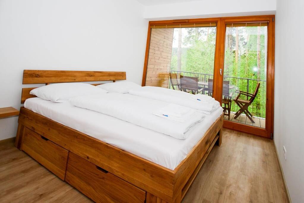 Lipnoport Lakeside Apartment view 5