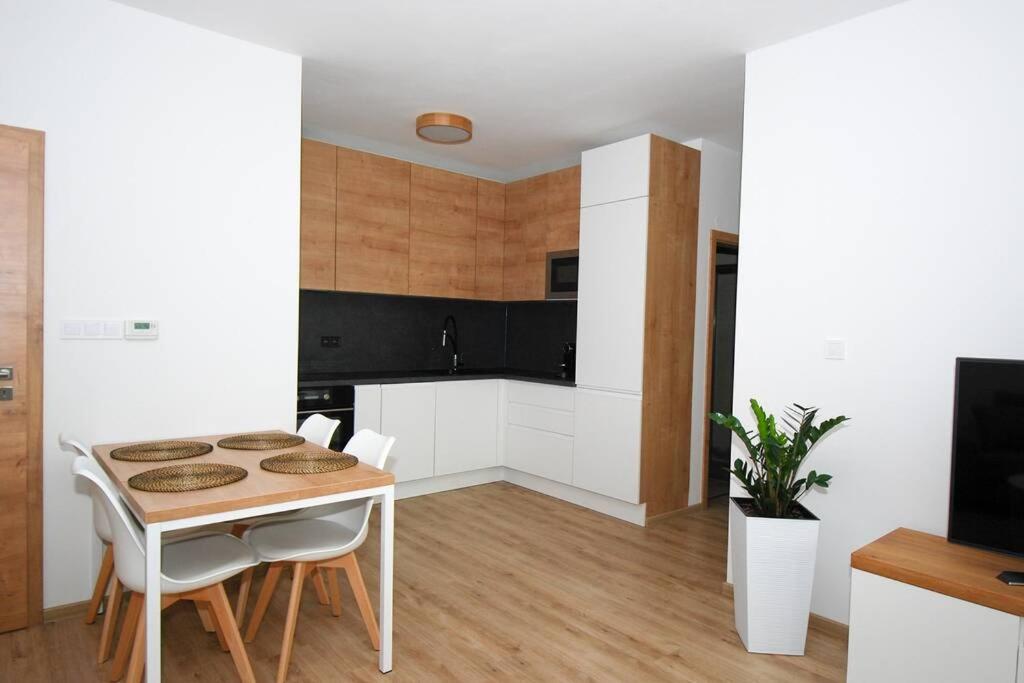Lipnoport Lakeside Apartment view 4
