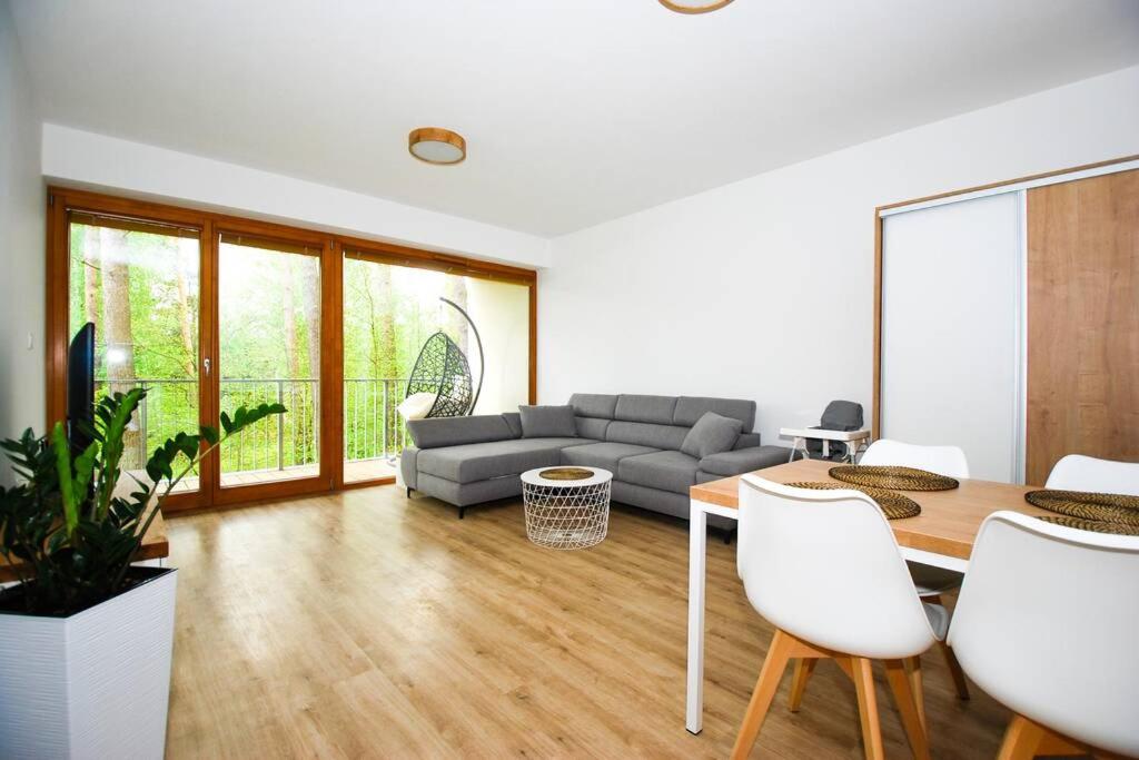 Lipnoport Lakeside Apartment view 2