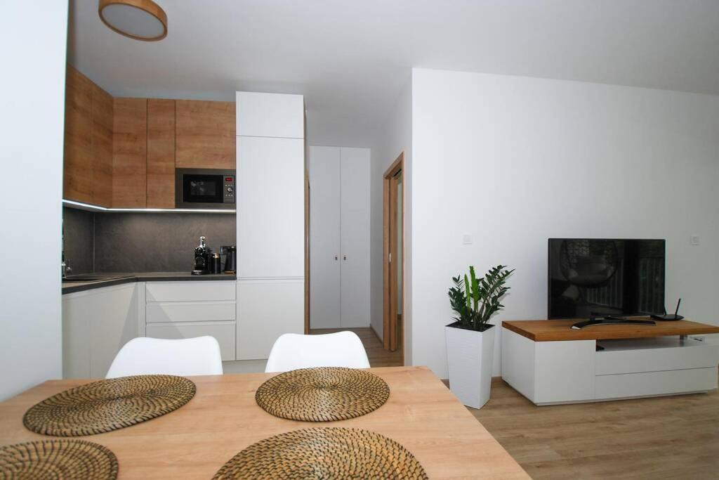 Lipnoport Lakeside Apartment view 3