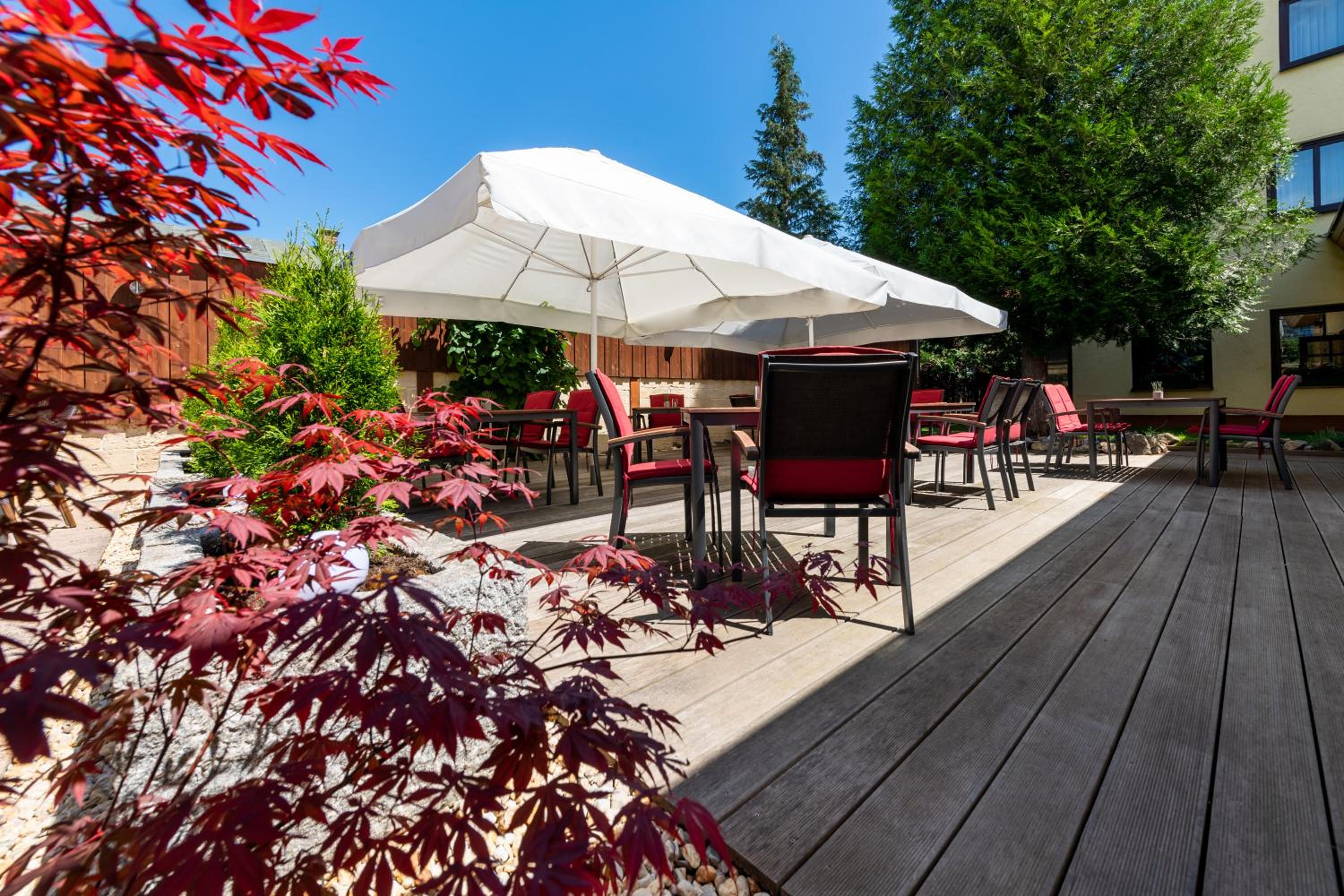 Hotel Zum Steinhof