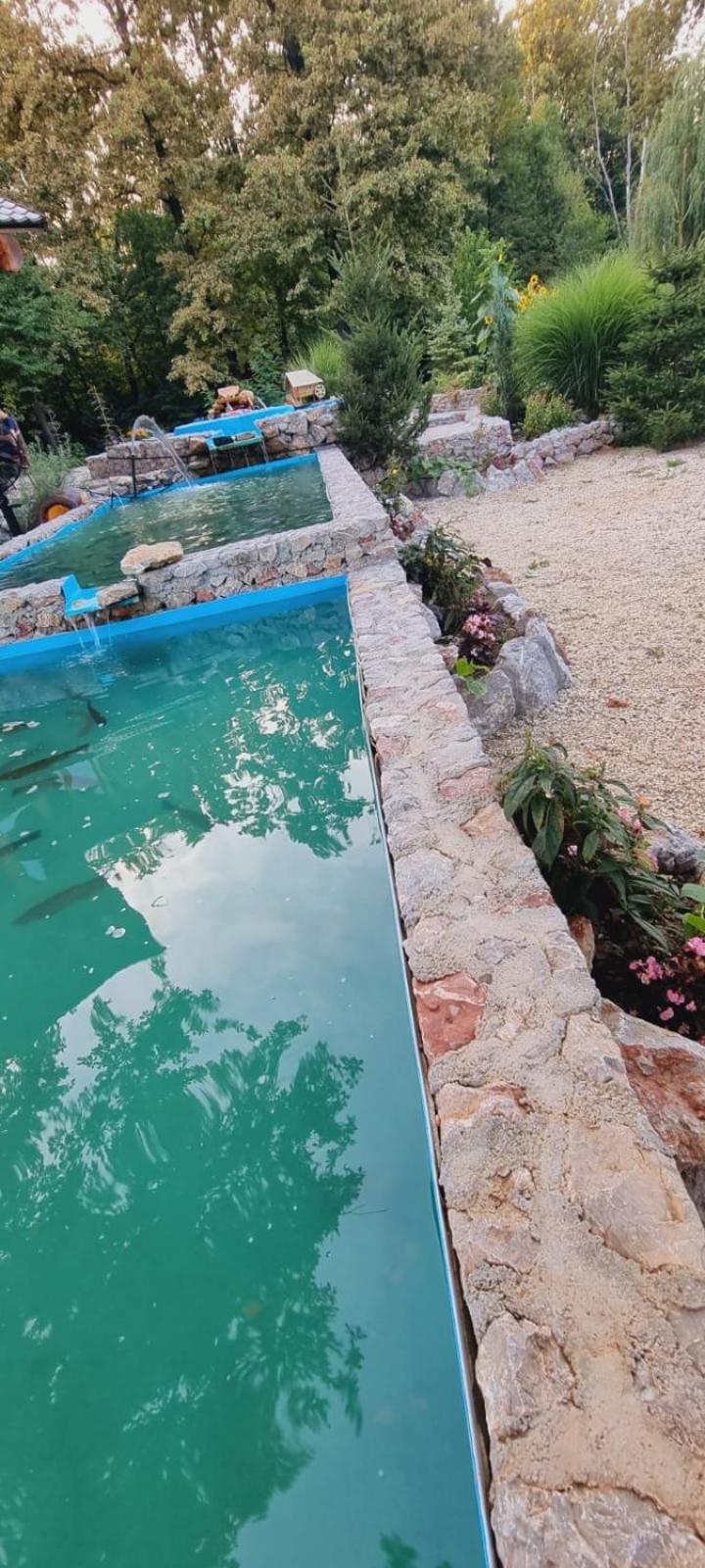Guest House Mala Prica