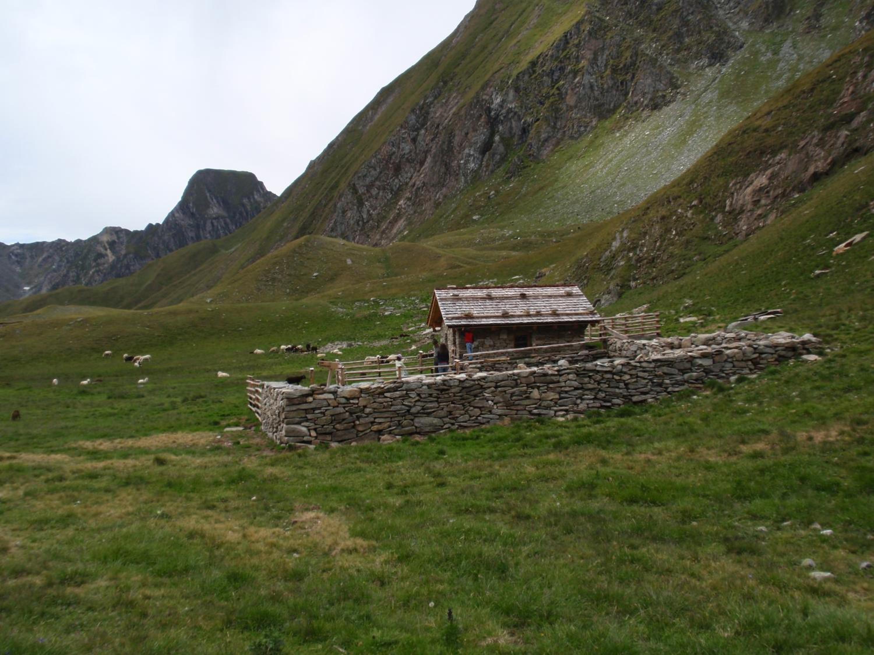 Photo 64