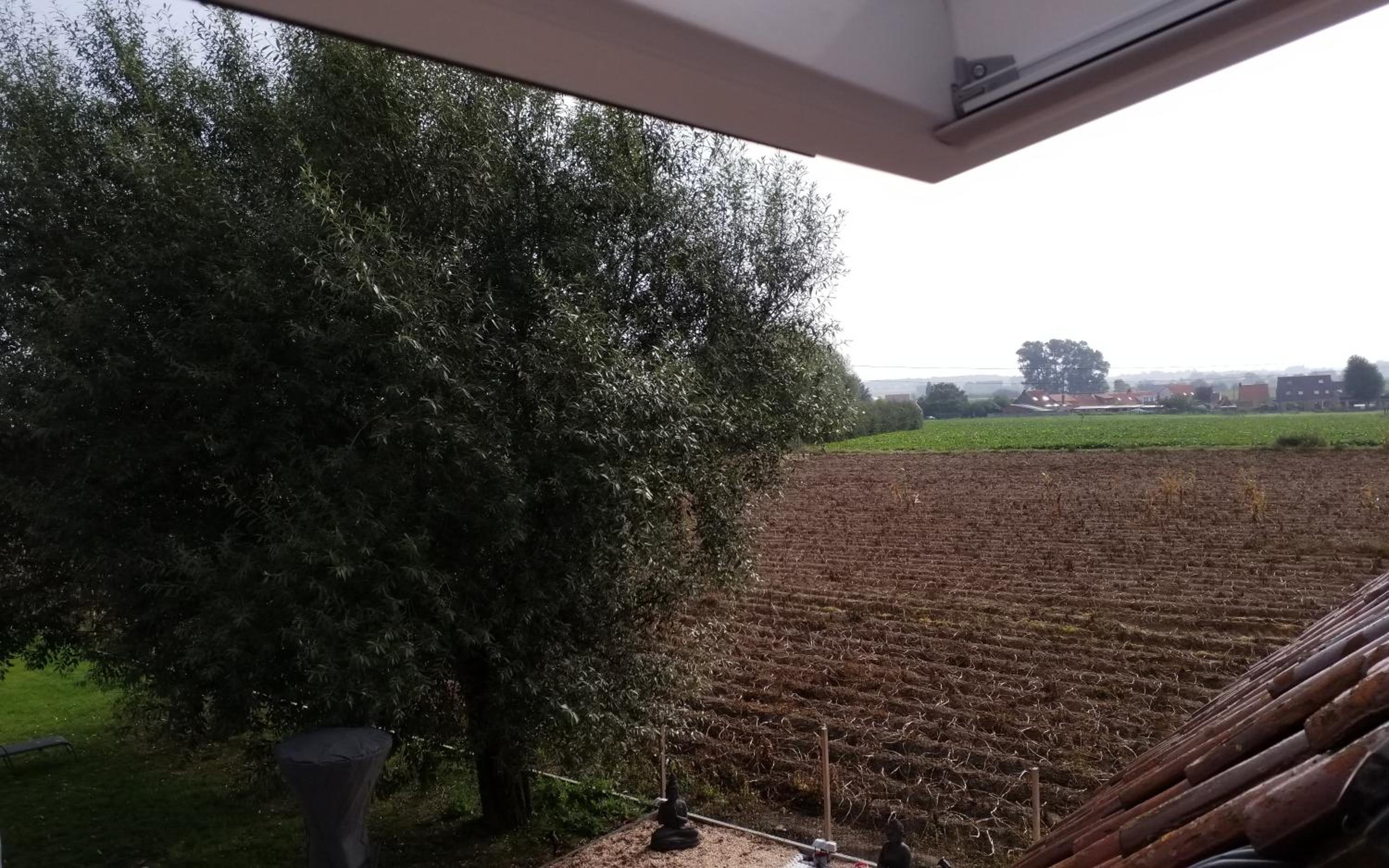 't Hofsteedje Watou