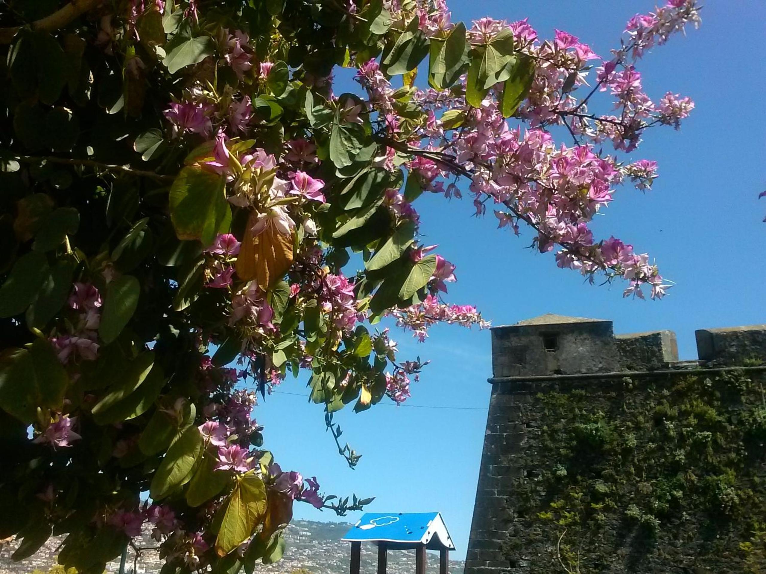 Casa Pico Musica view 4
