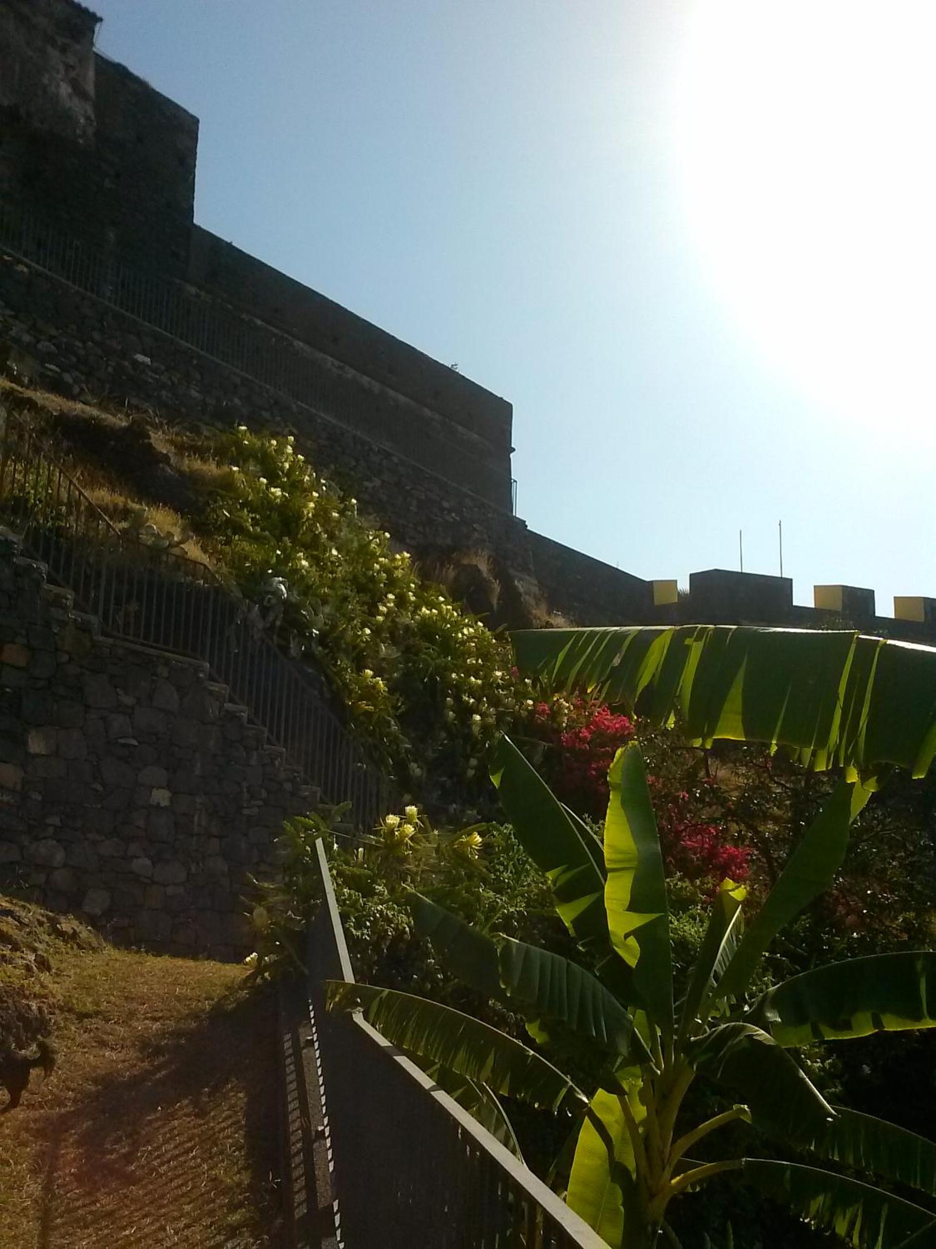 Casa Pico Musica view 5