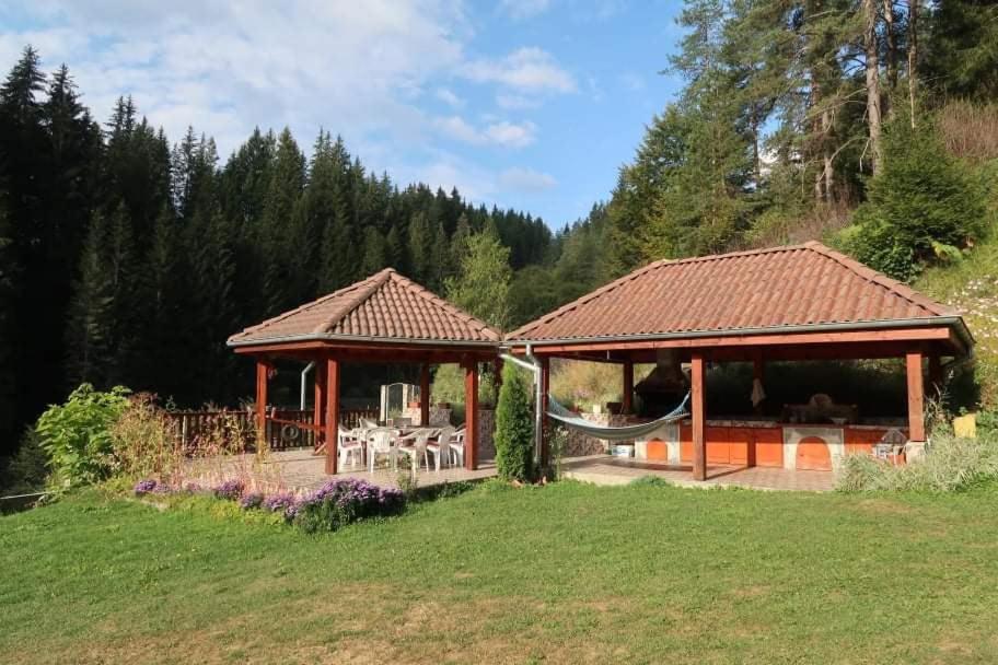 Villa Chaushevi view 2