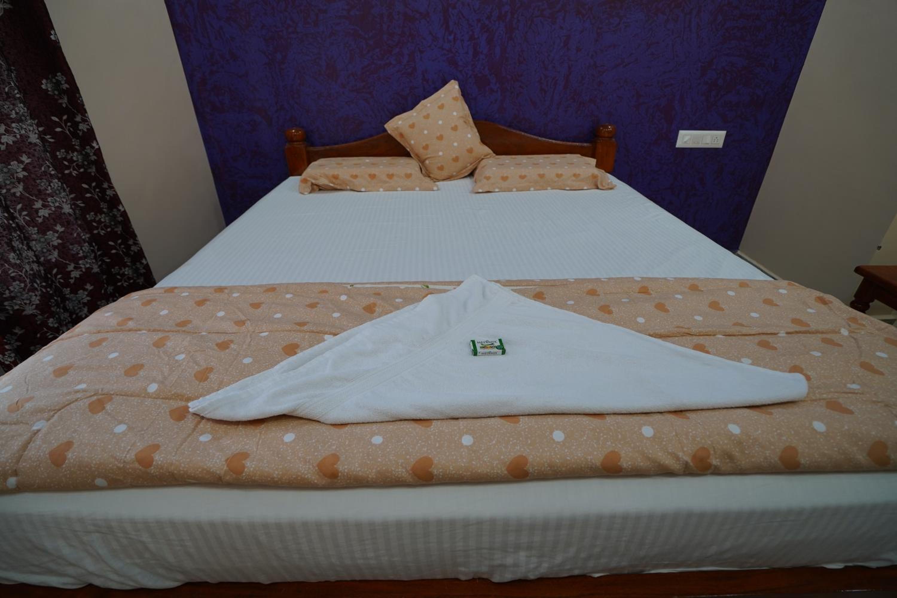 Akash homestay view 4