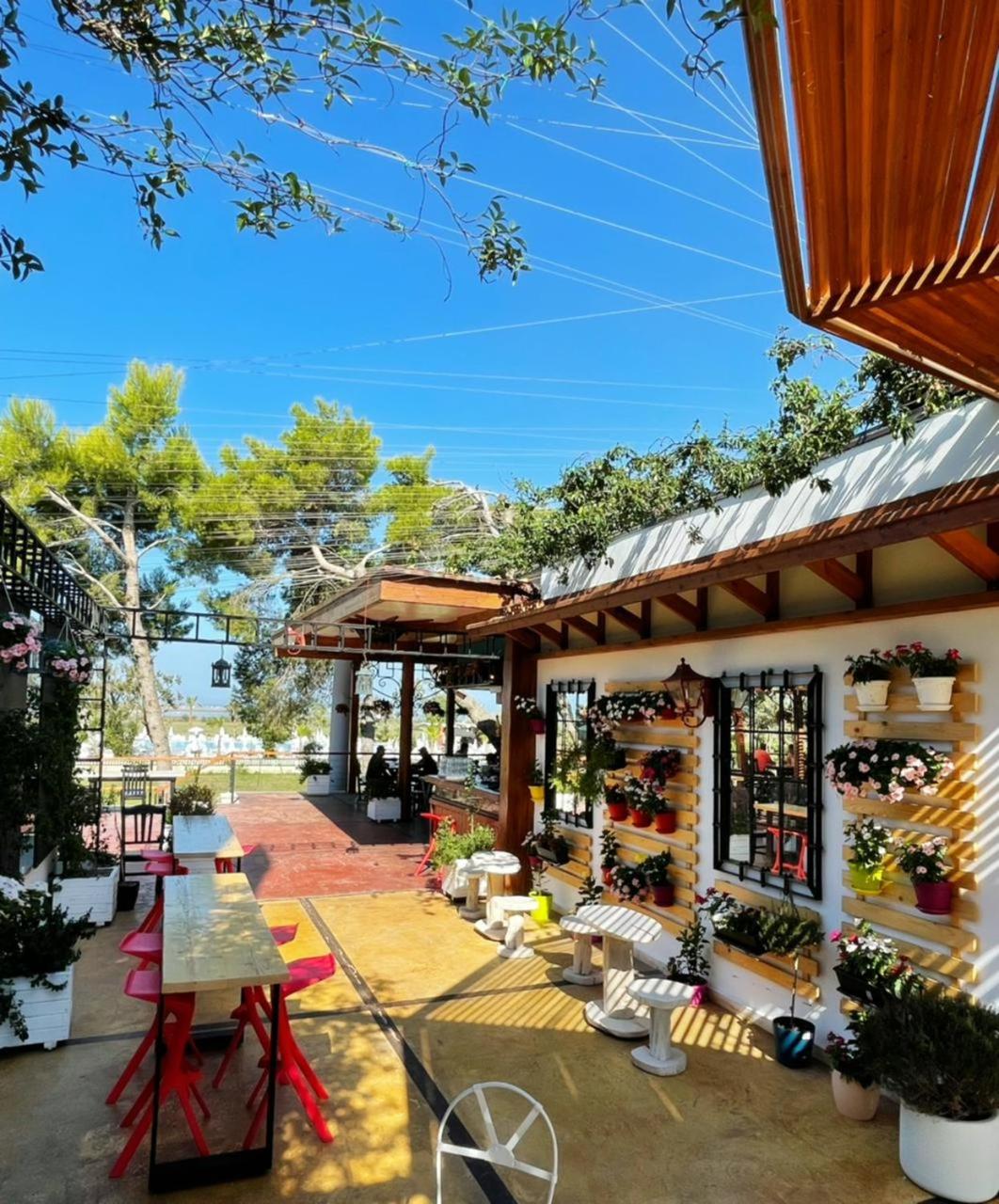 Divjaka Resort