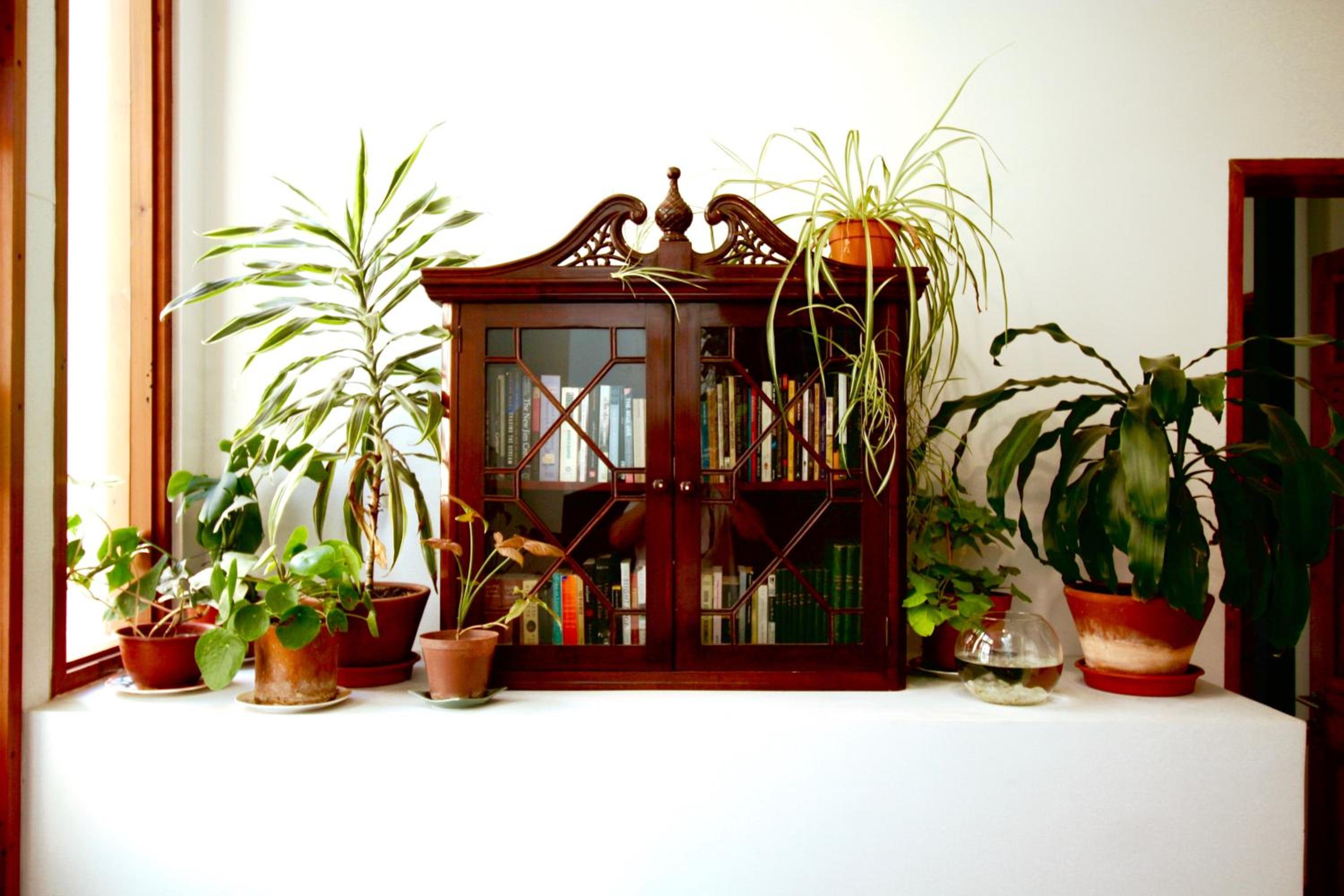 Casa California Guesthouse