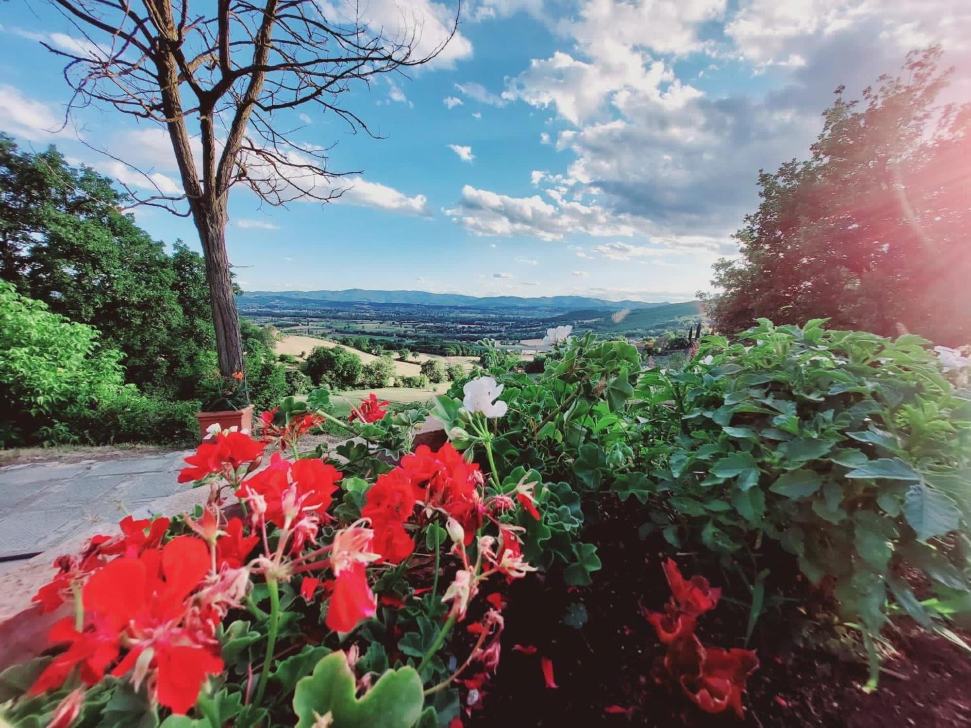 Al Podere del Nonno Romolo