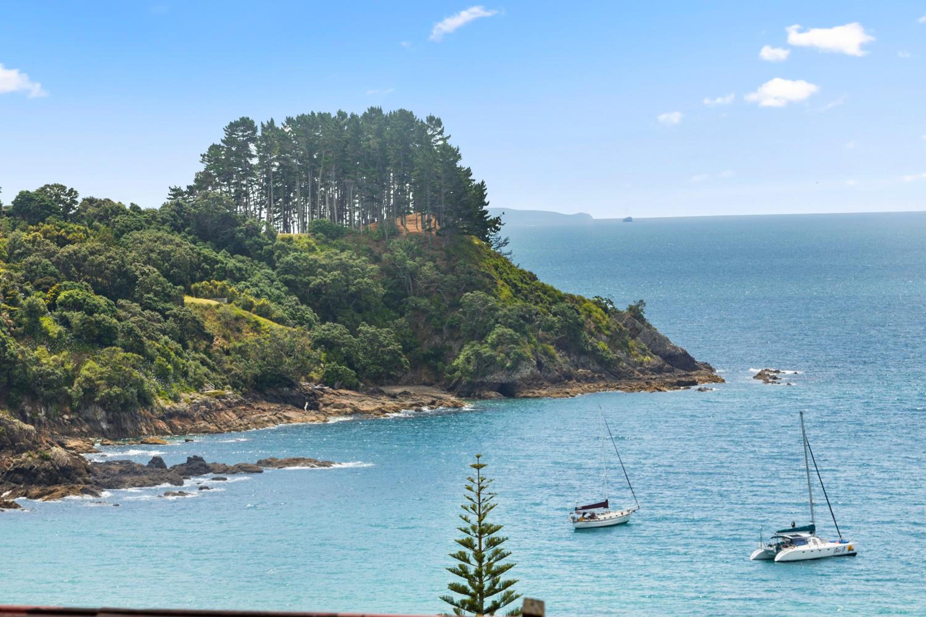 Palm Views - Stay Waiheke view 3