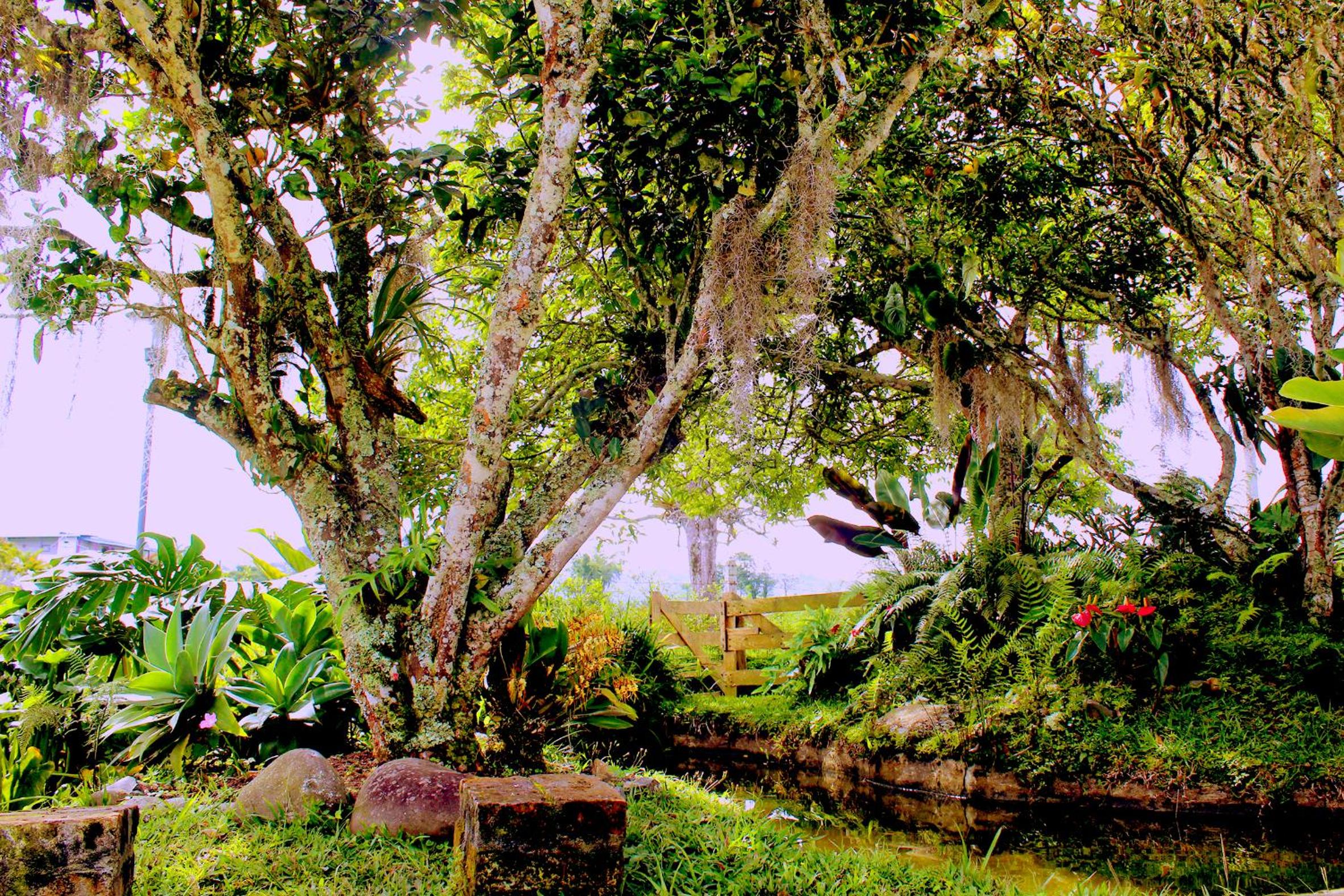 Casa Laureles view 2