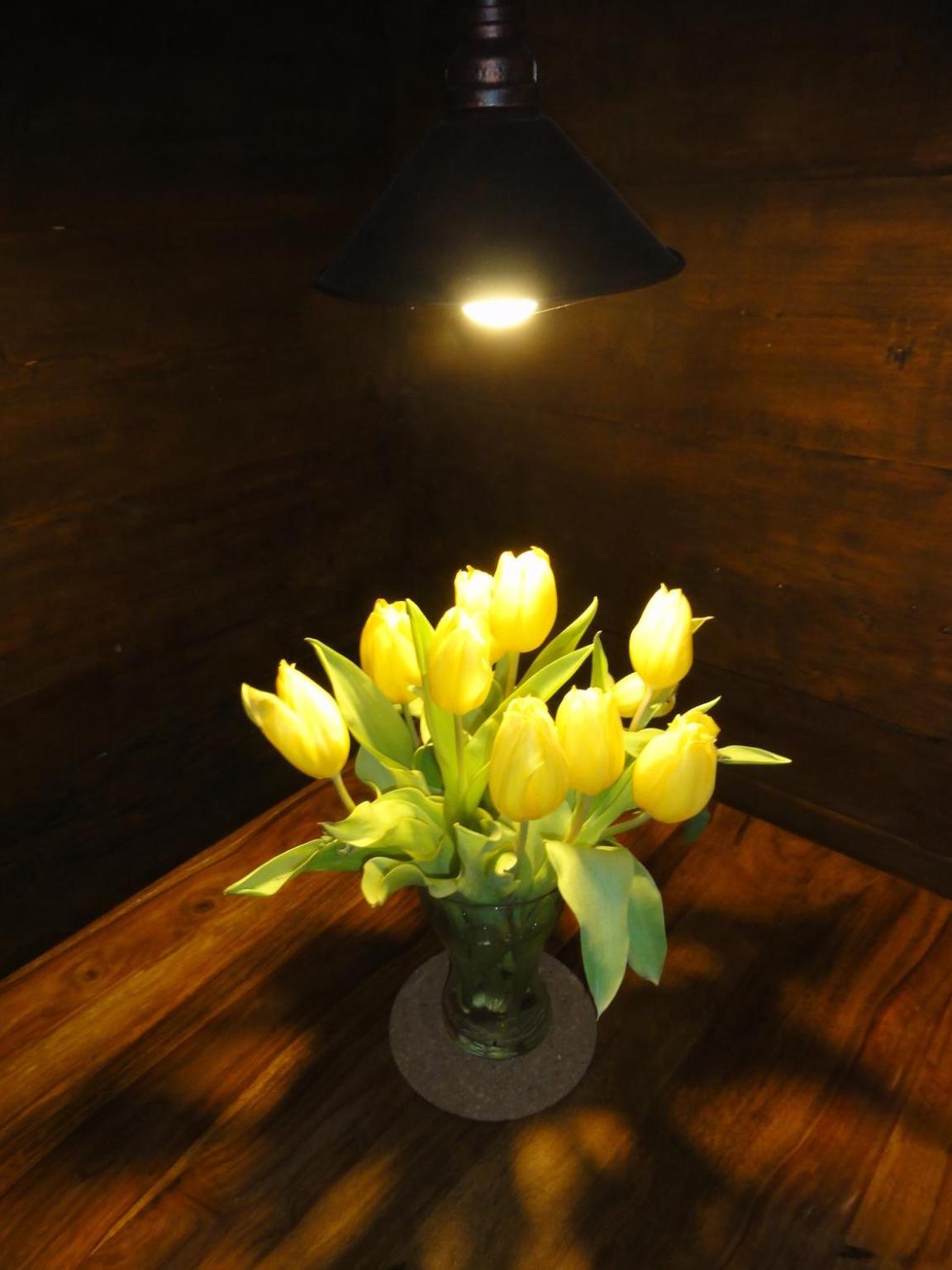 Photo 7