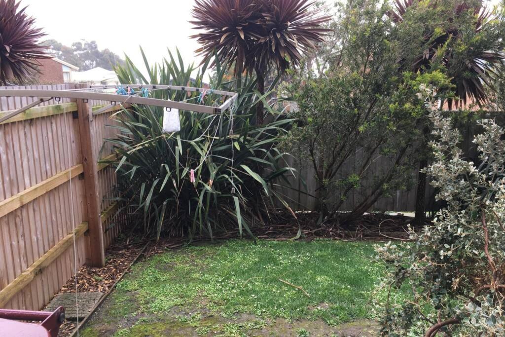 Beachside Bliss with Secure yard l Pet Friendly