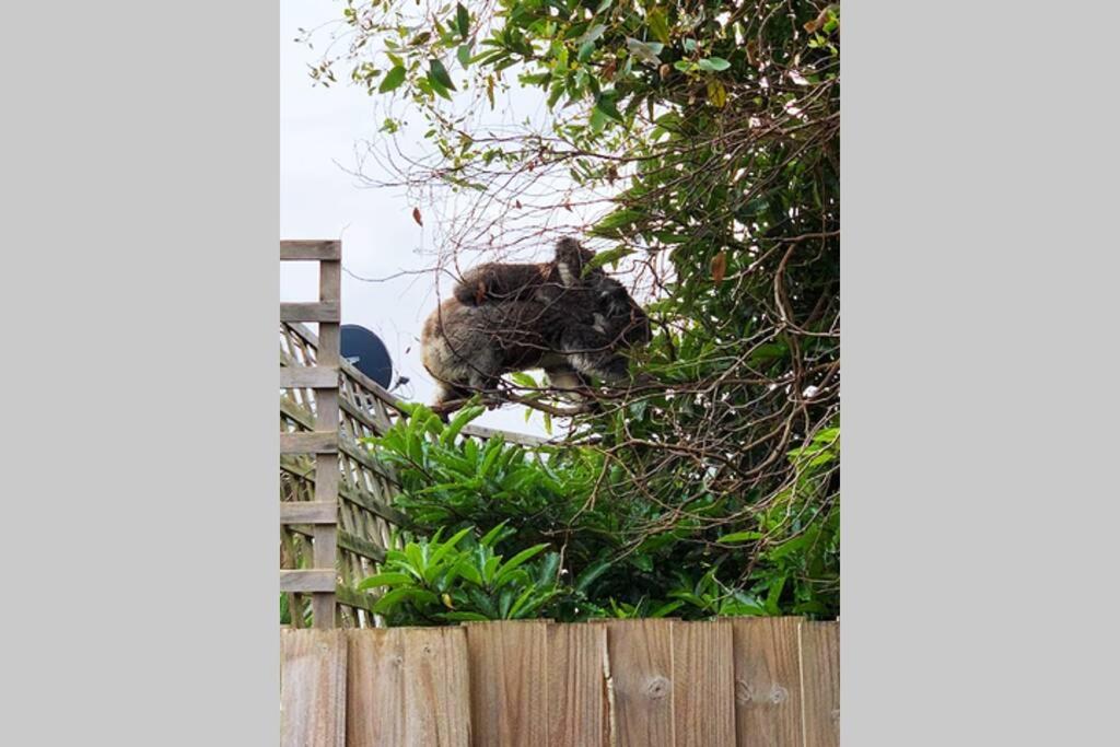 Charlie’s Beach House 1Block to Beach Pet Friendly
