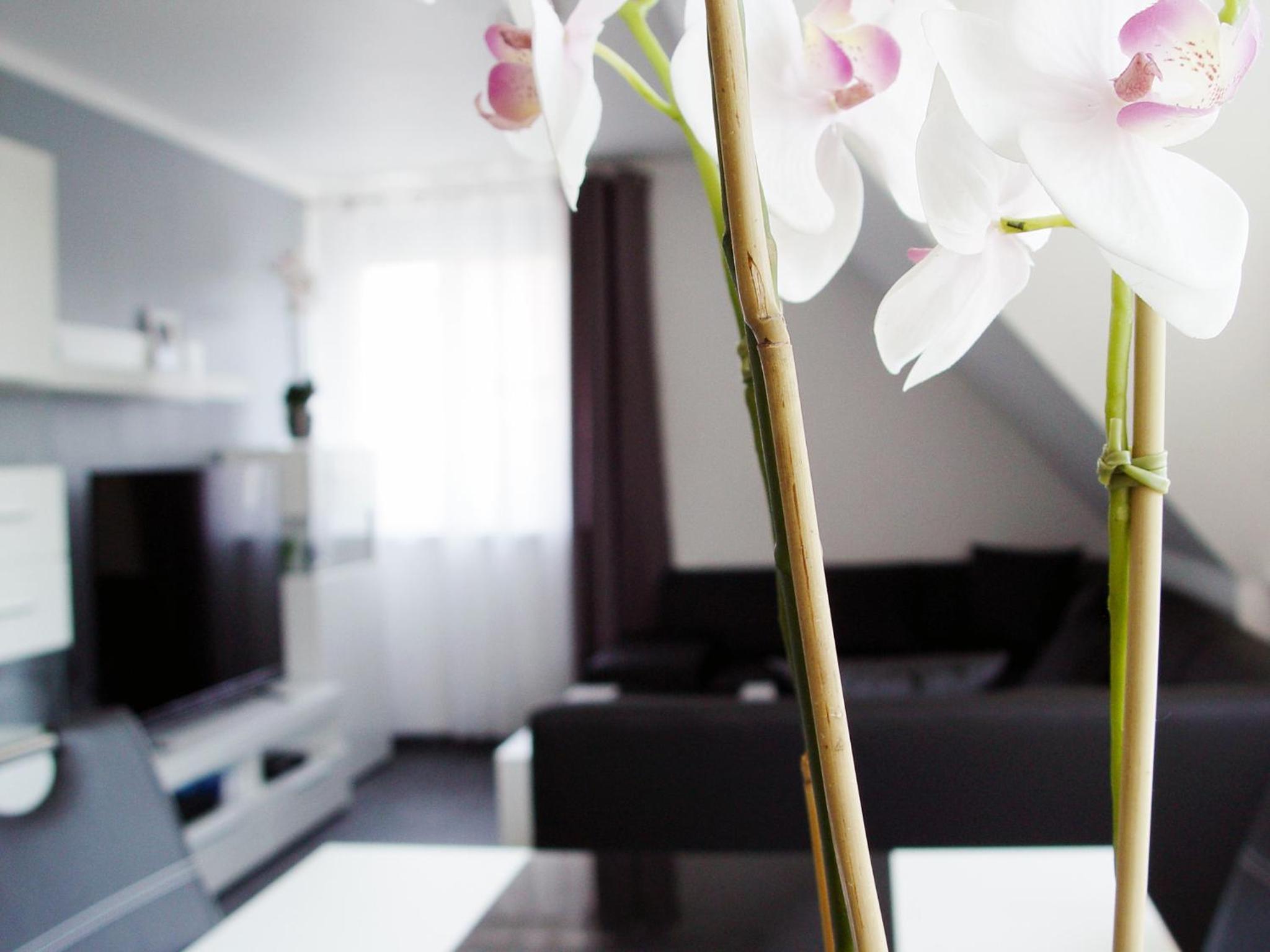 La Domus Premium