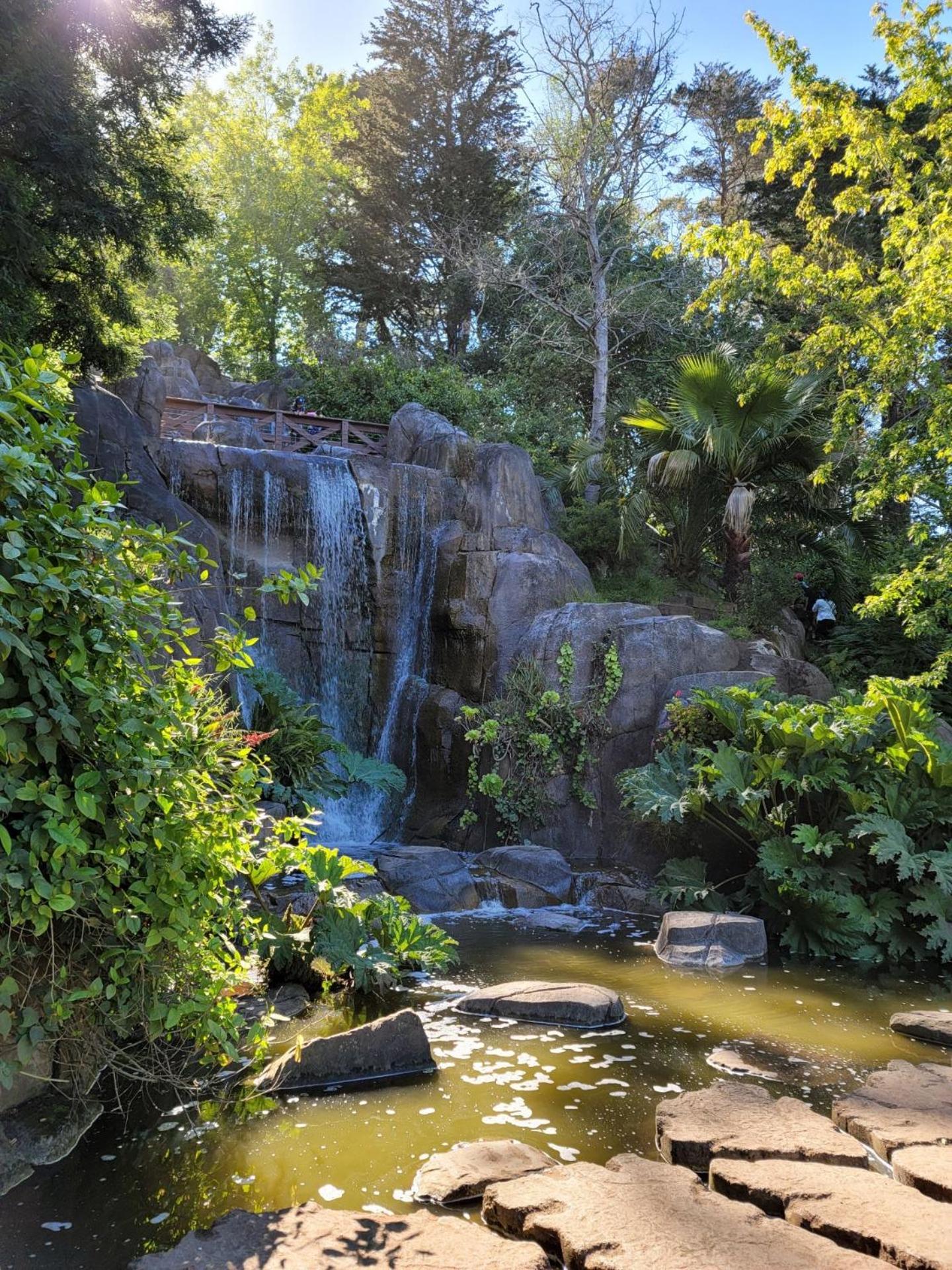 Golden Gate Park Suite view 2