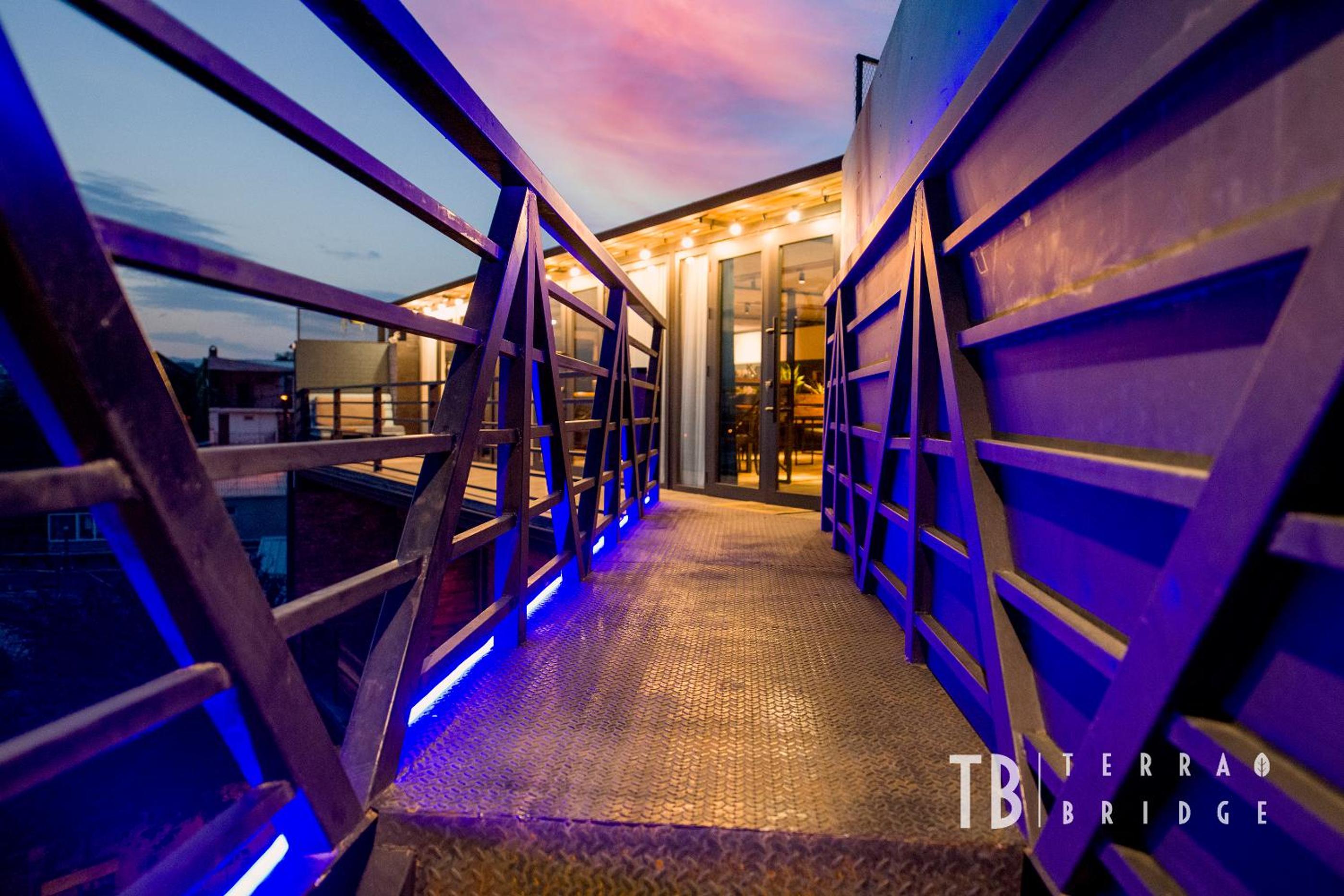Terra Bridge