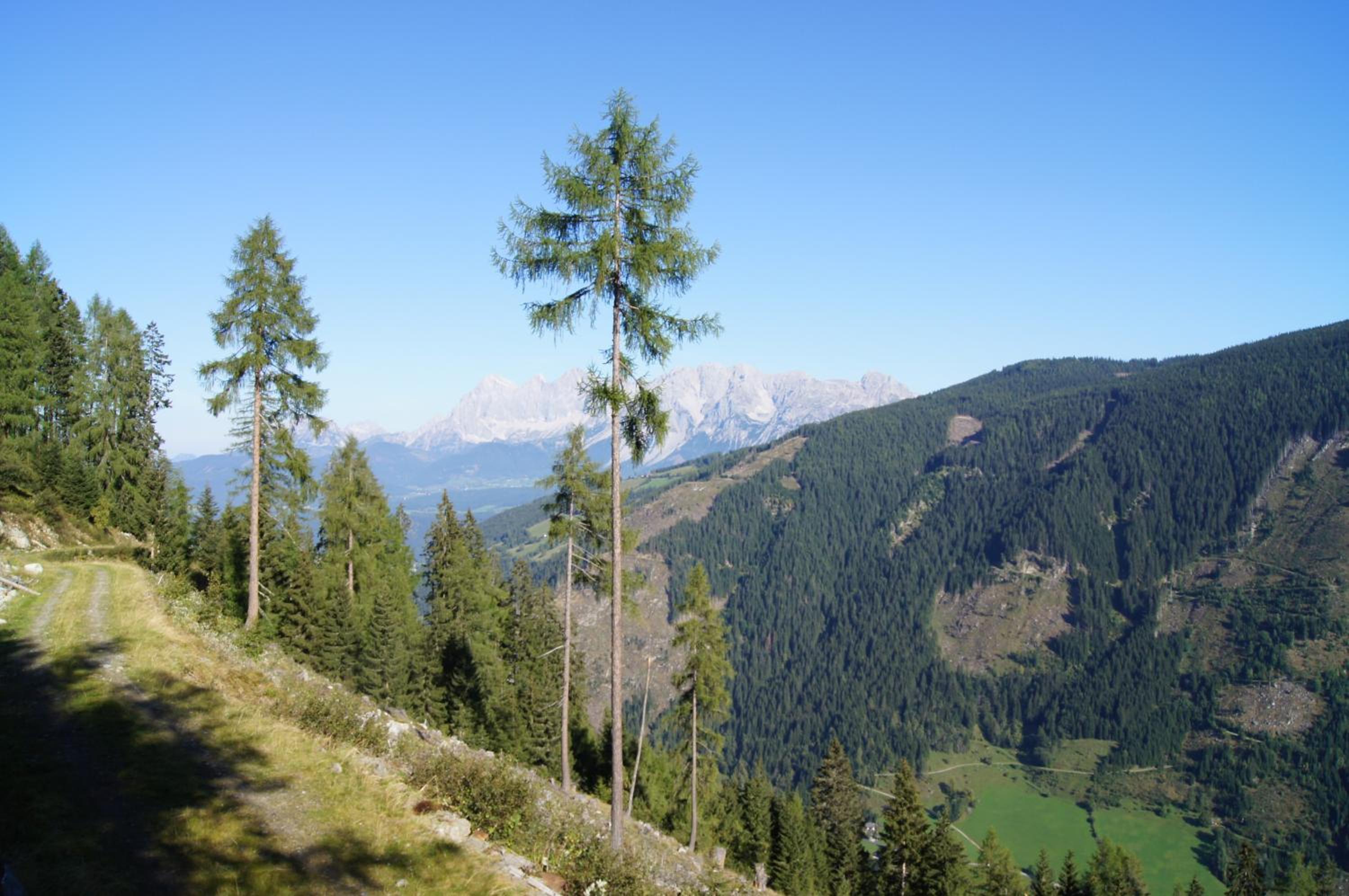 Waldhaus Ahornau Chalet