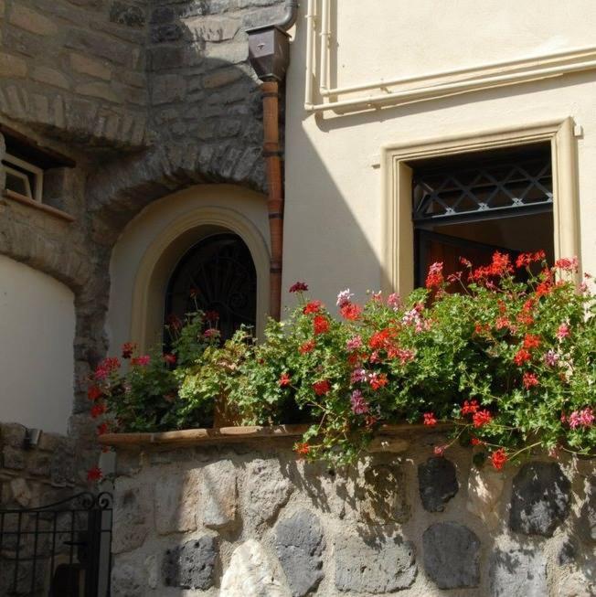 Agrifoglio B&B view 2