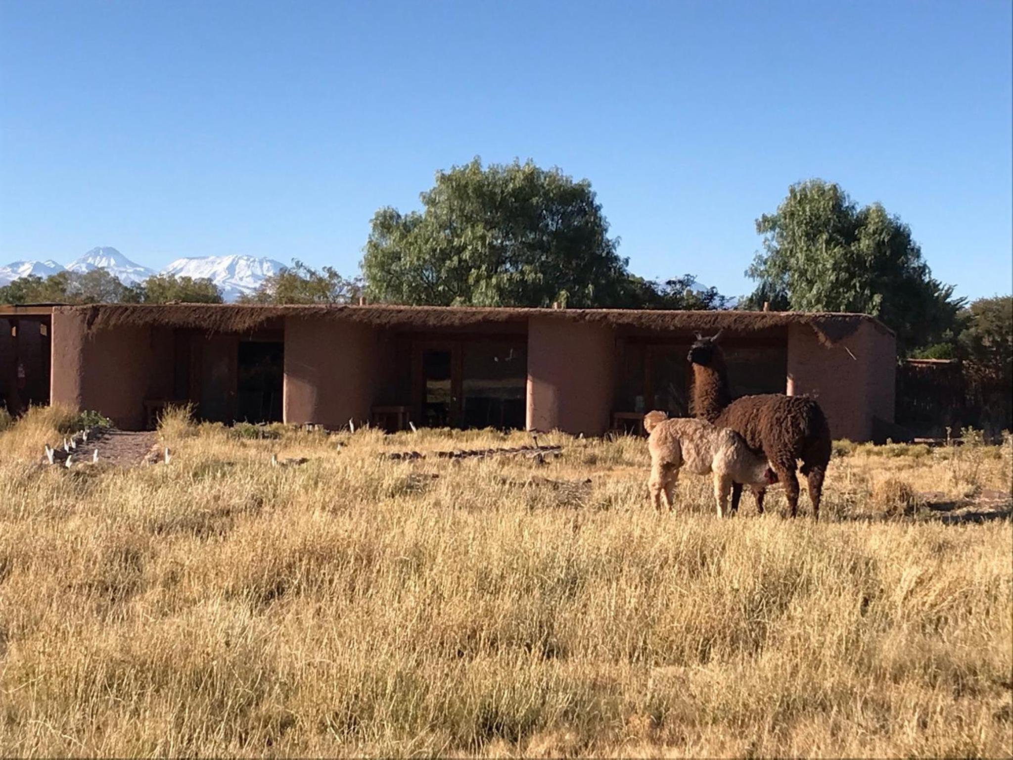 Hotel Eco-Lodge El Andinista