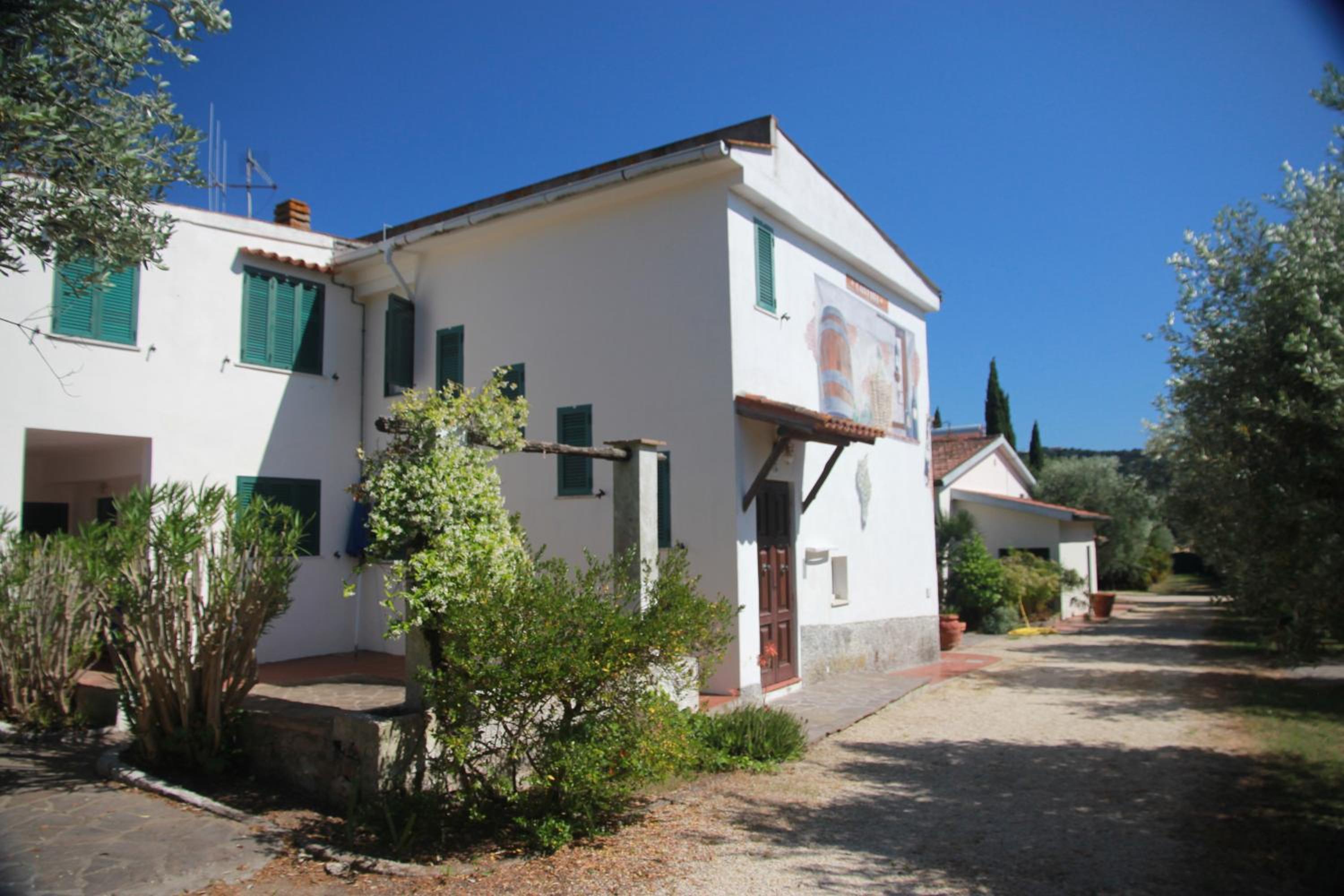 Photo 45