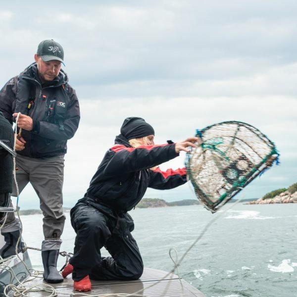 Surfviken Glamping and B&B