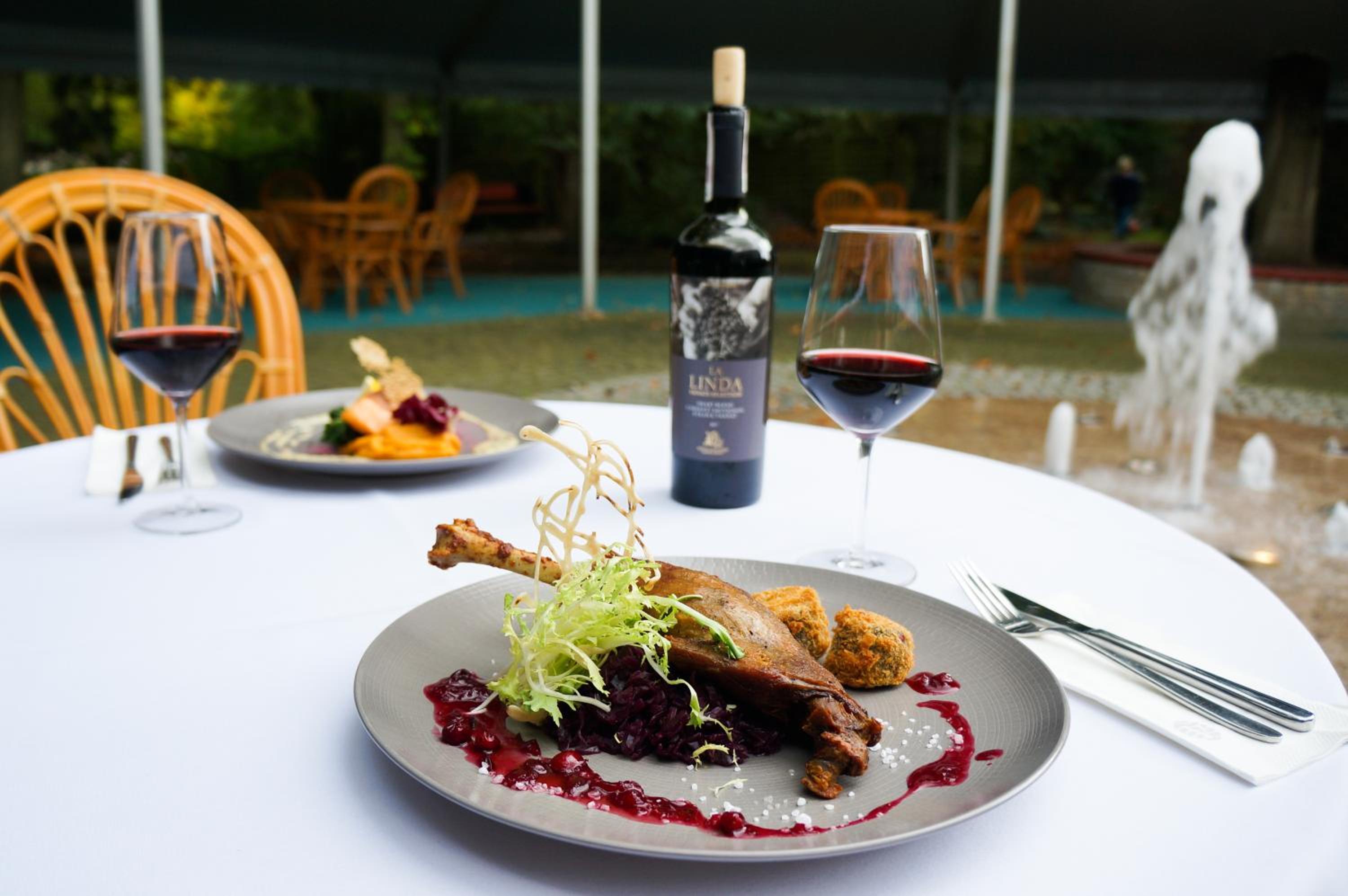 Hotel Villa Park Med & Spa 46