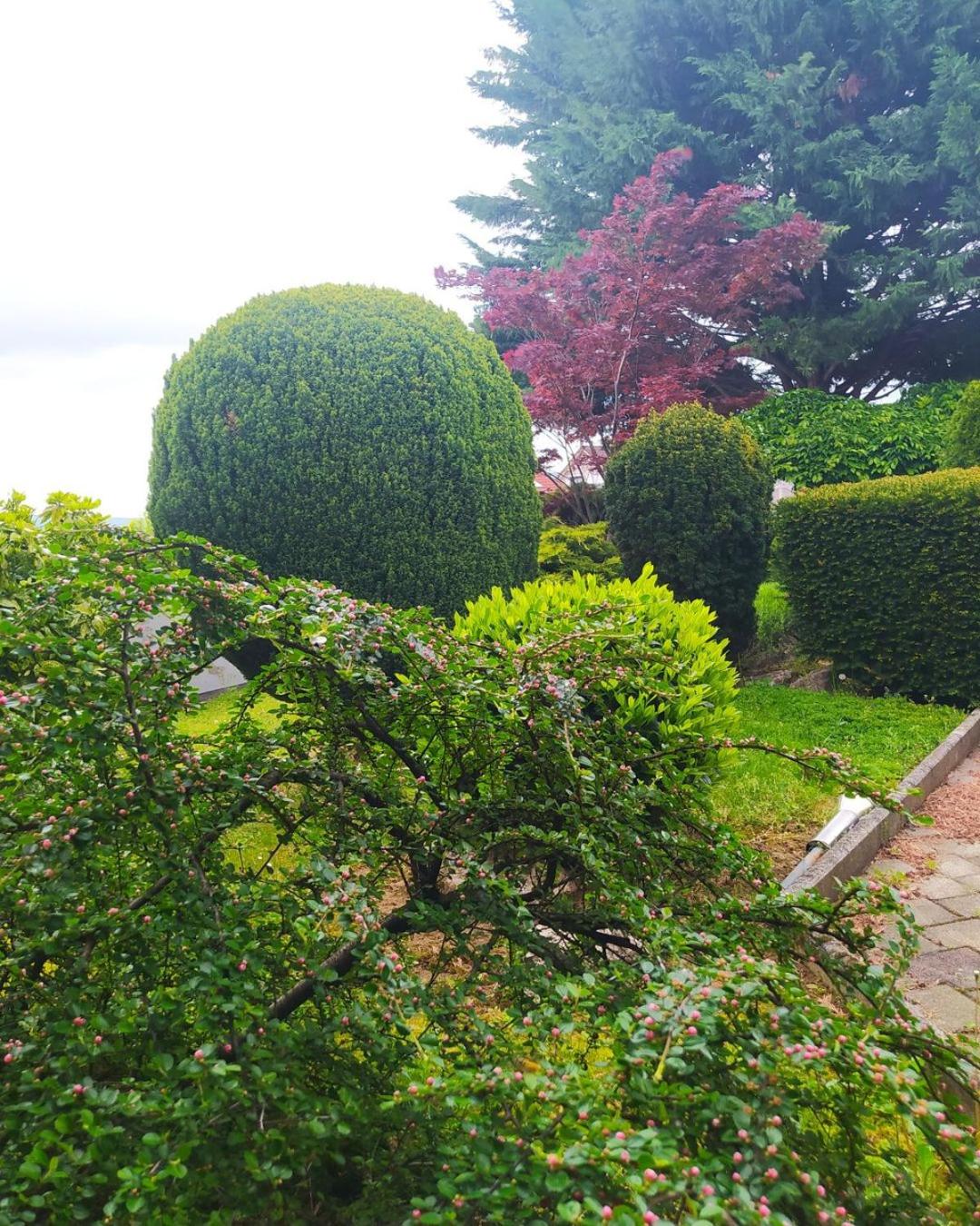 MISLENY HOME view 5
